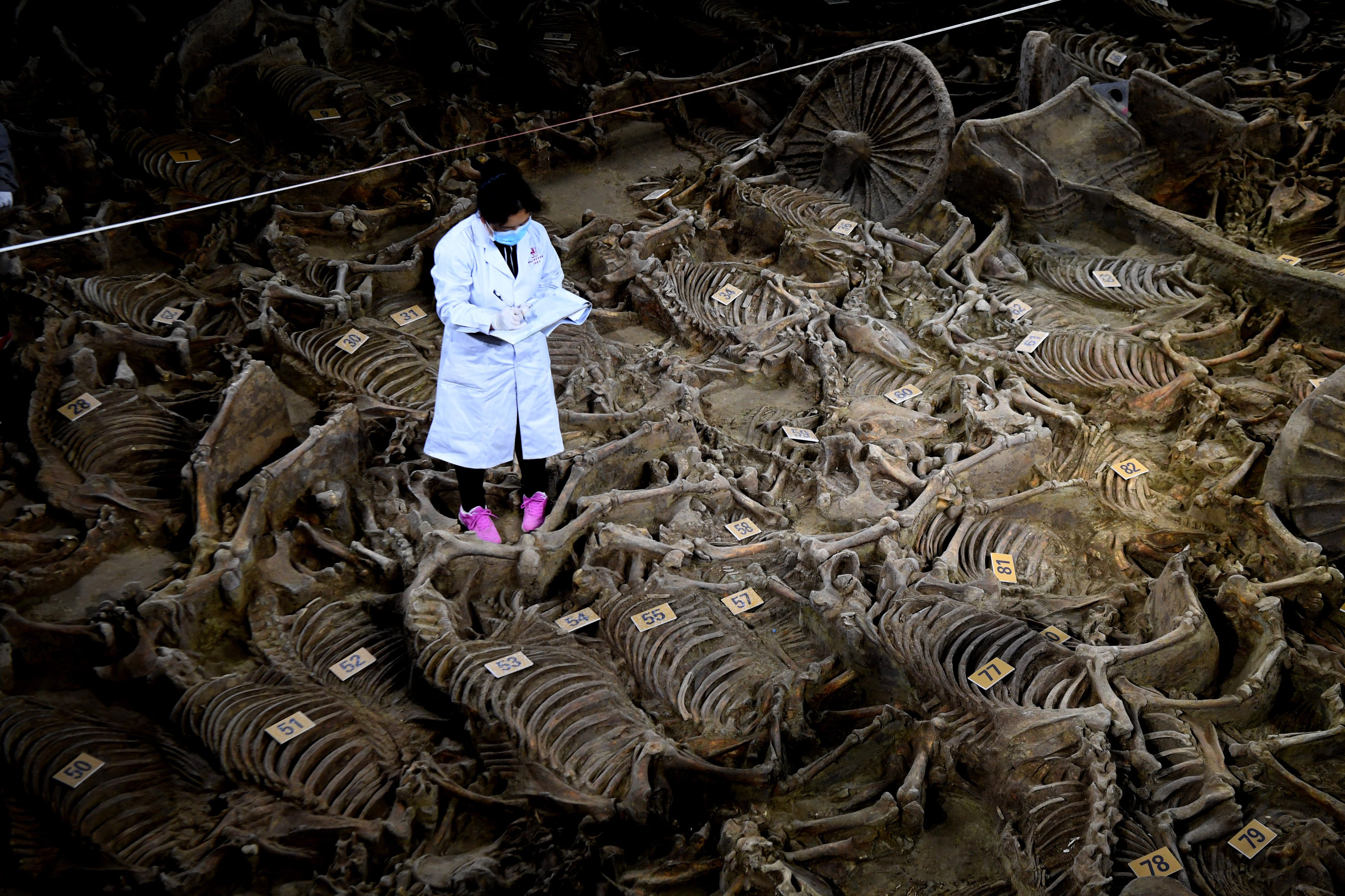 An archaeologist works at the No 3 Horse and Chariot Pit, one of a cluster of tombs belonging to noble families of the Zheng State, a vassal state during the Spring and Autumn and Warring States periods, near the city of Xinzheng in central China’s Henan province, in November 2017. Photo: Xinhua