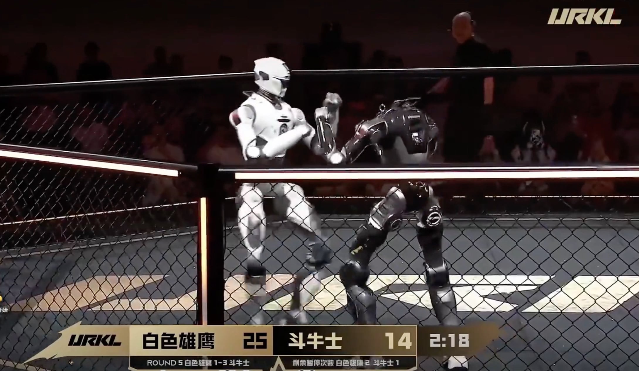 The Ultimate Robot Knock-out Legend opener was the first event of its kind, with two identical T800 robots, at the Nanshan Cultural and Sports Centre. Photo: Handout
