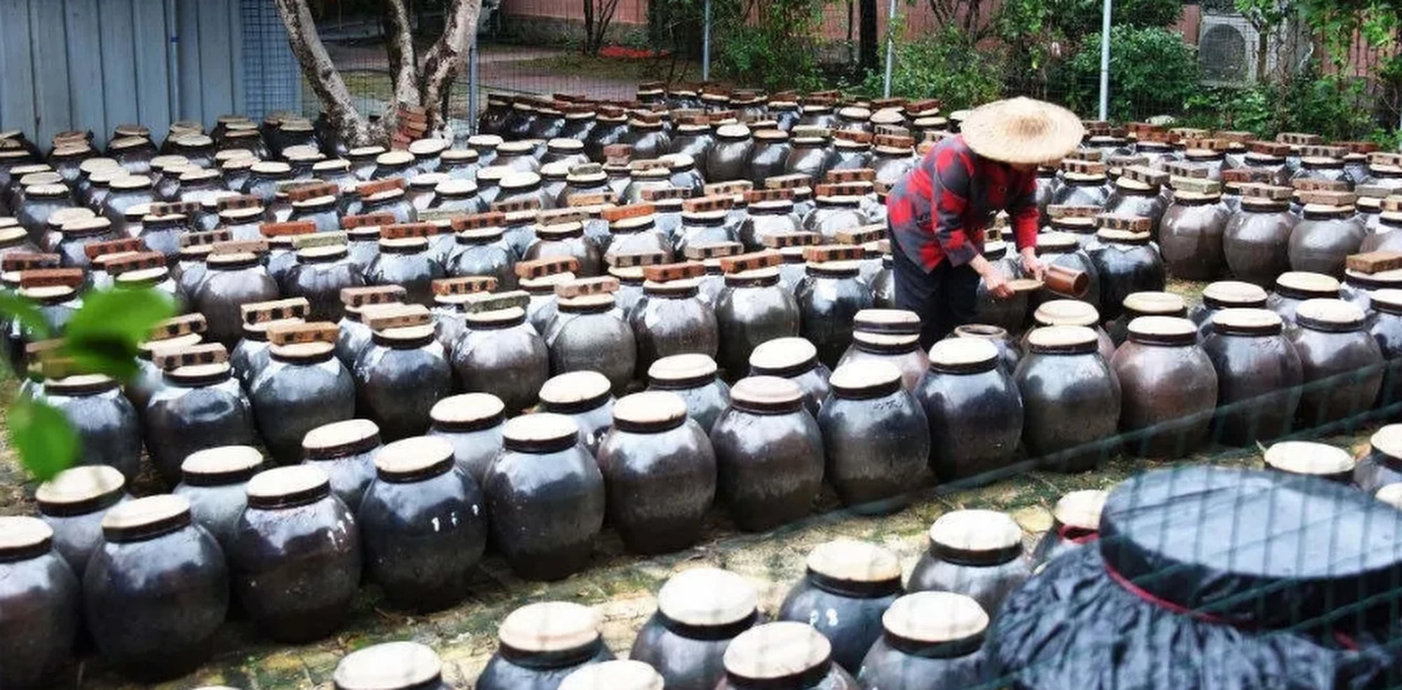 Traditional earthenware jars ferment vinegar (above). In Guangdong’s humid climate, “stinky vinegar” is widely consumed to combat summer heat and fatigue. Photo: QQ.com Traditional earthenware jars ferment vinegar (above). In Guangdong’s humid climate, “stinky vinegar” is widely consumed to combat summer heat and fatigue. Photo: QQ.com