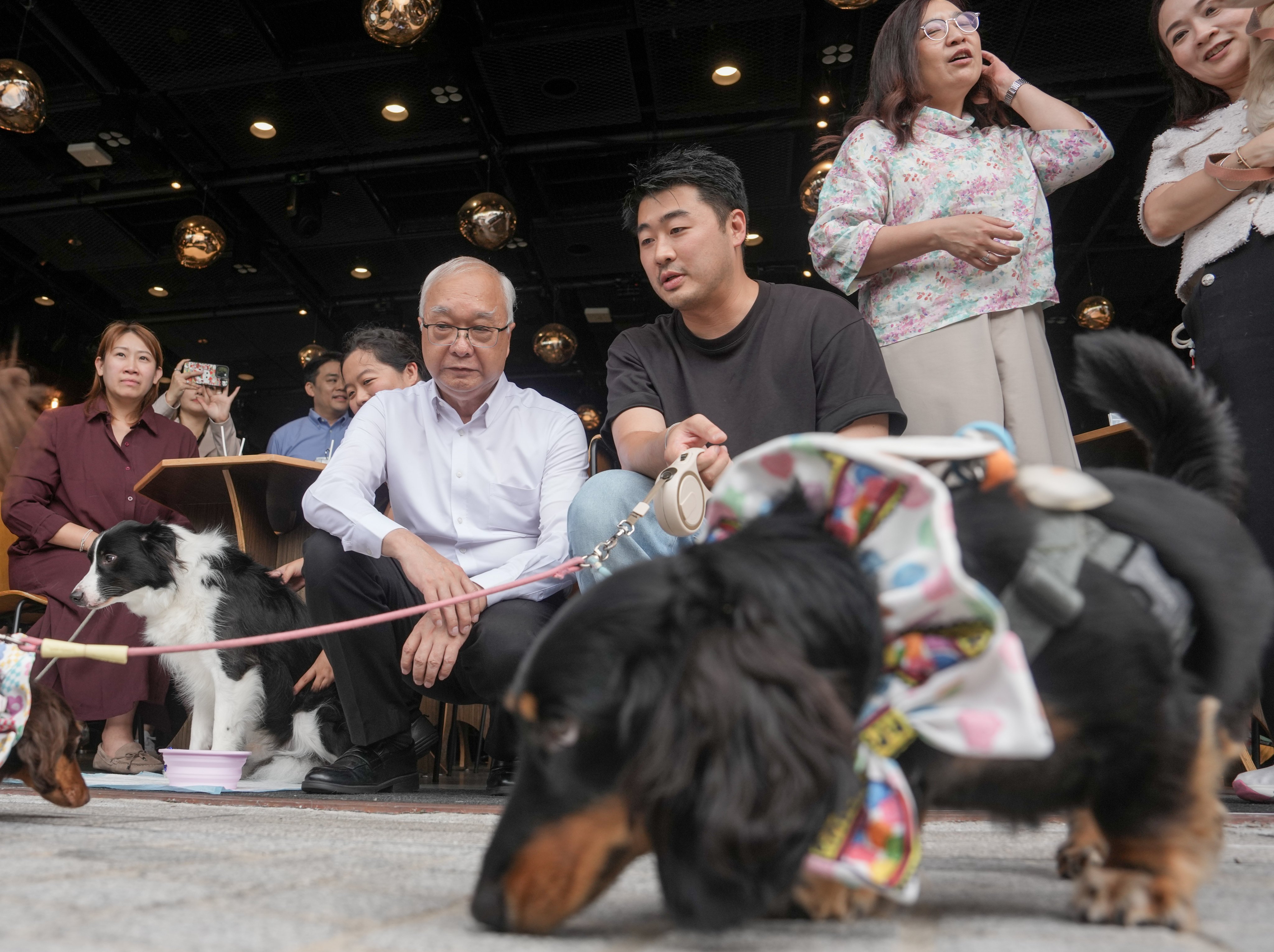 Secretary for Environment and Ecology Tse Chin-wan (centre in white) visits a restaurant at West Kowloon Cultural District on the first day of the scheme. Photo: Sam Tsang
