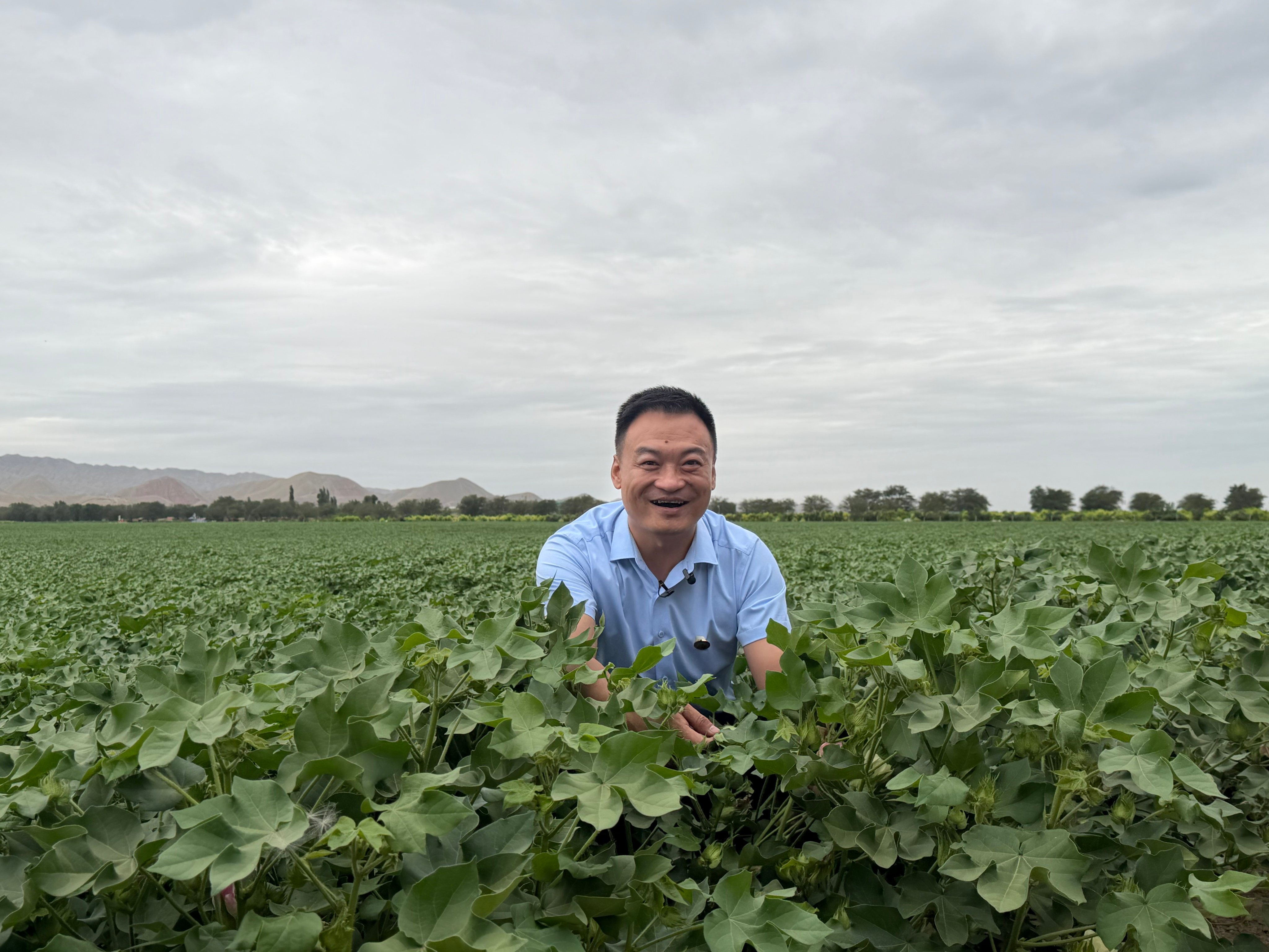 Zhao Xin owns of a 113-hectare cotton field in Shihezi, Xinjiang. Photo: Edith Lin