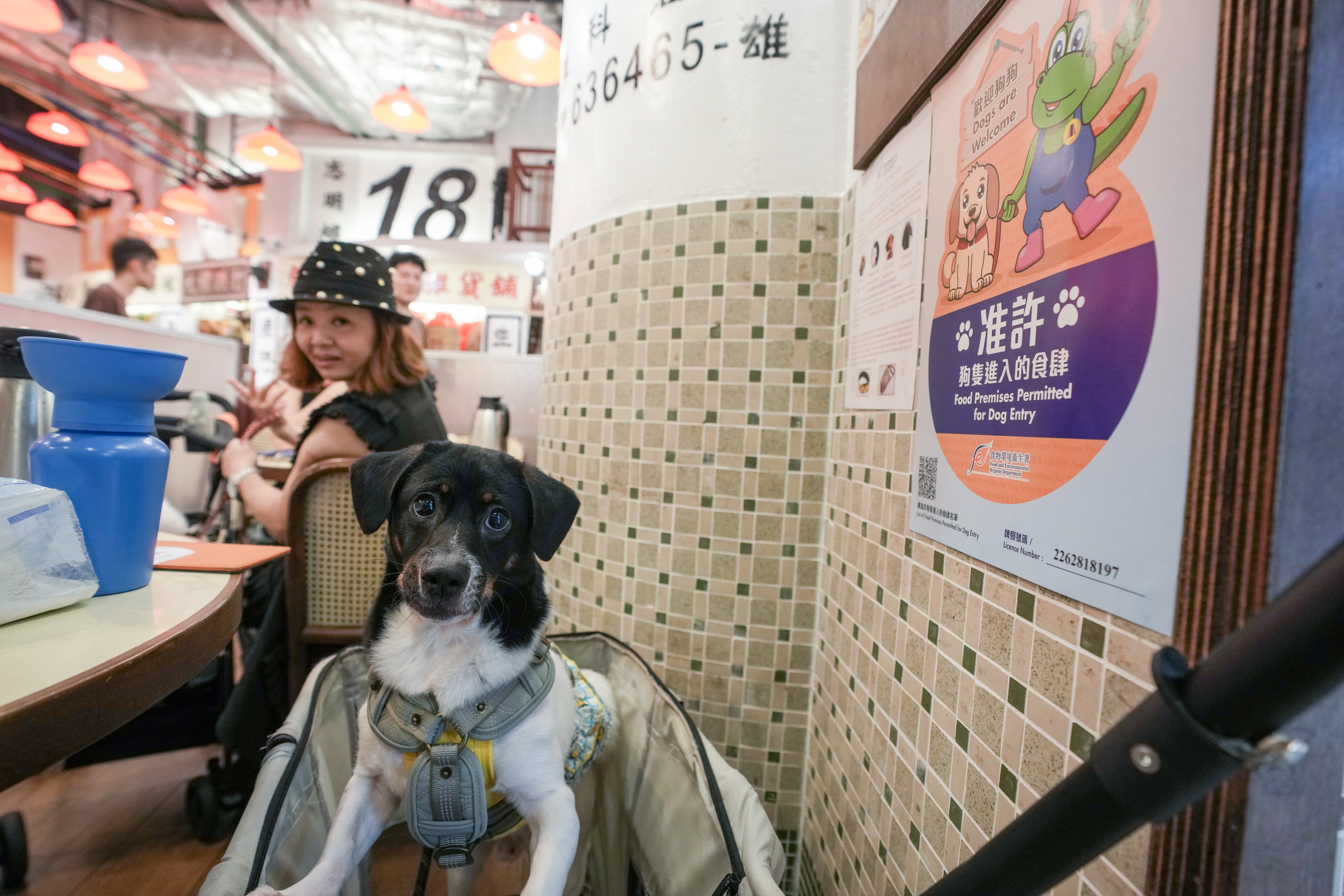 Old Fung Tea House, a dog-friendly dim sum restaurant in Mong Kok. Photo: Sam Tsang