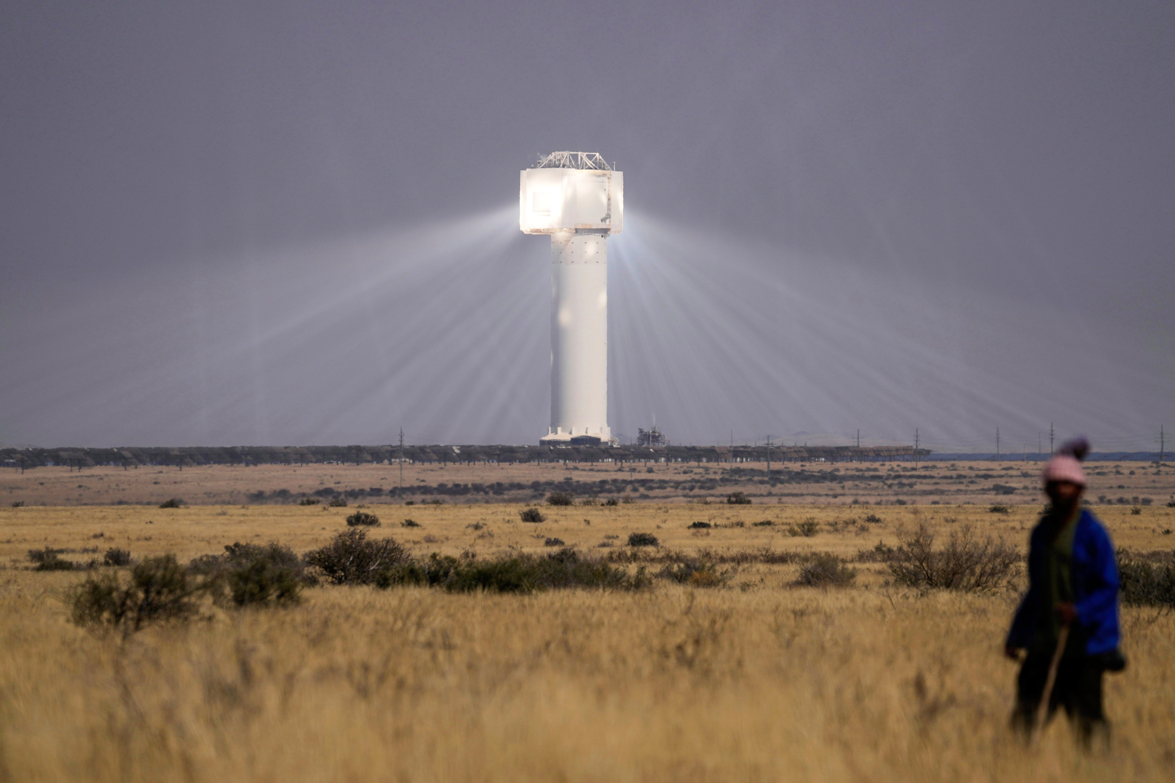 A shepherd watches livestock near Khi Solar One, a solar thermal plant that converts the sun’s light energy into electricity, outside Upington, South Africa, in Northern Cape province, August 29 last year. Photo: AP