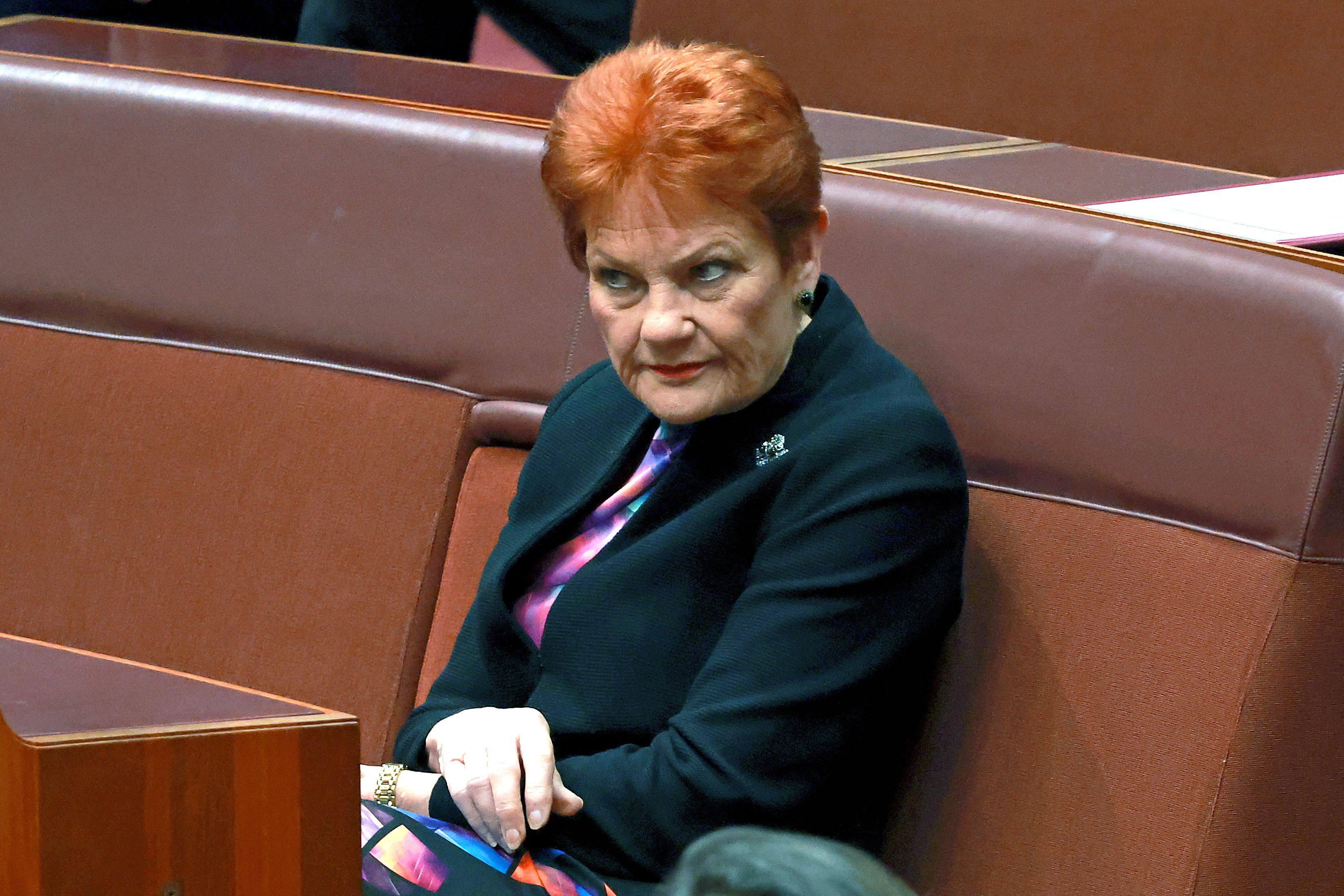 Senator and leader of the One Nation Party, Pauline Hanson. Photo: AFP