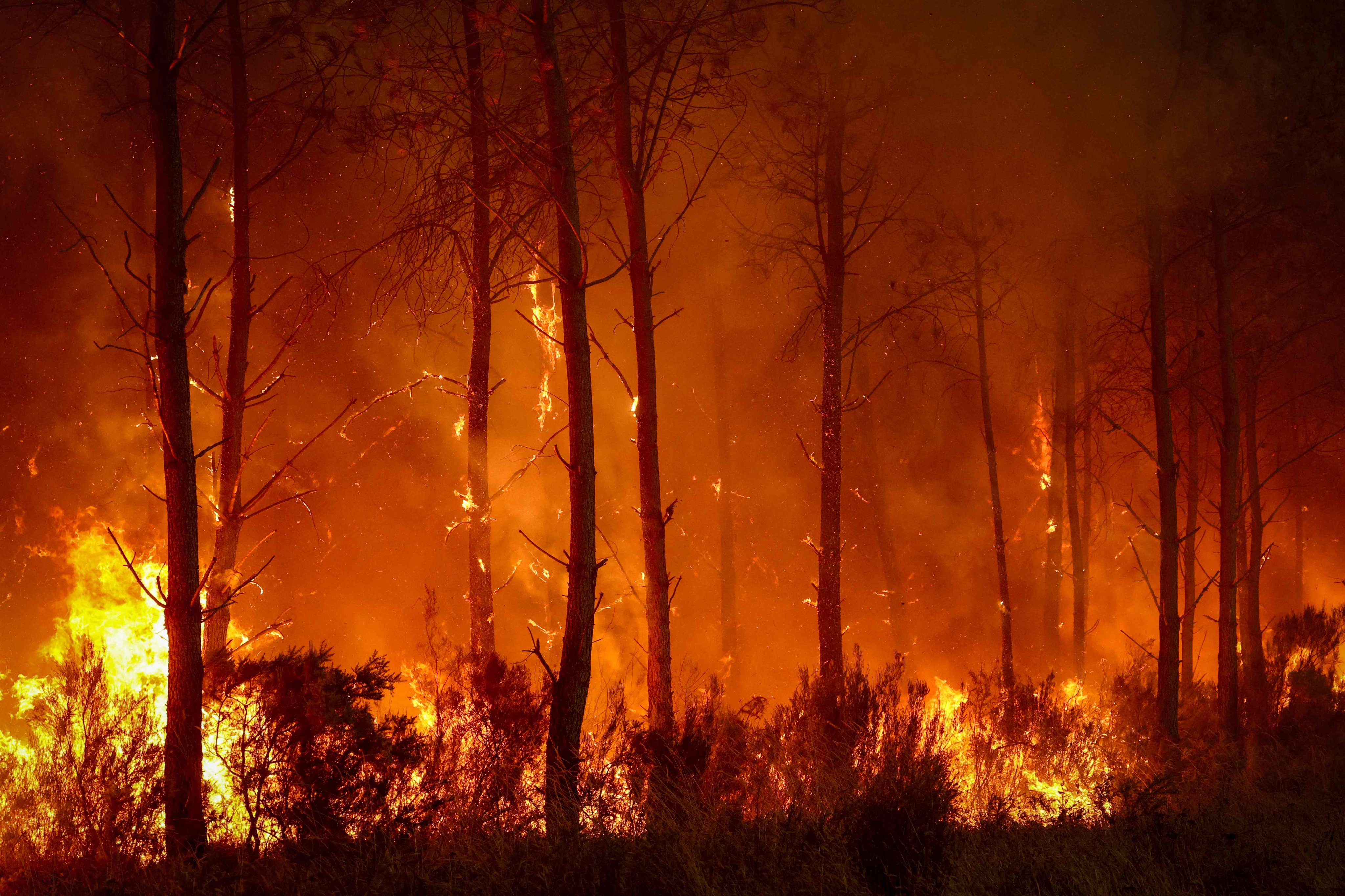 A forest fire rages in Saint-Jean-d’Illac near Bordeaux, France as the country is battered by heatwaves sparking wildfires. Photo: AFP