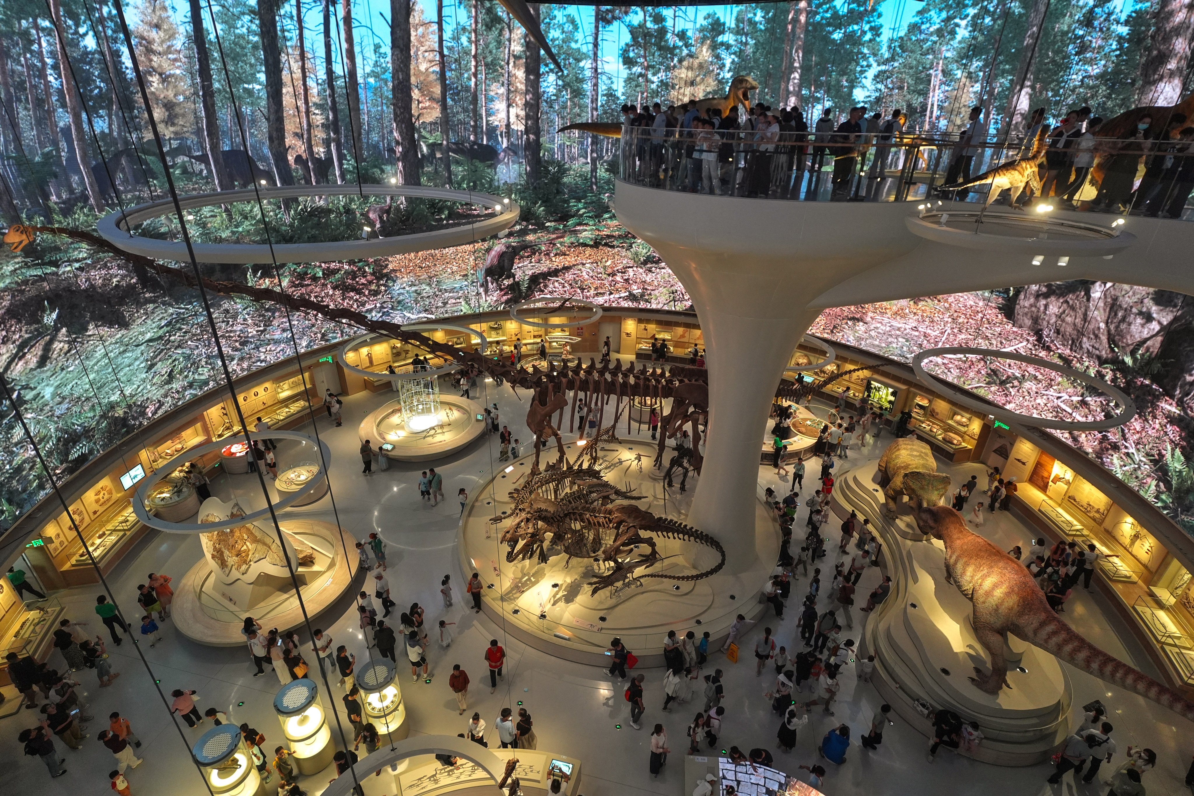 The Shenzhen Natural History Museum’s Dinosaur Hall is crowded with visitors on its soft opening day on July 25. Photo: Elson Li