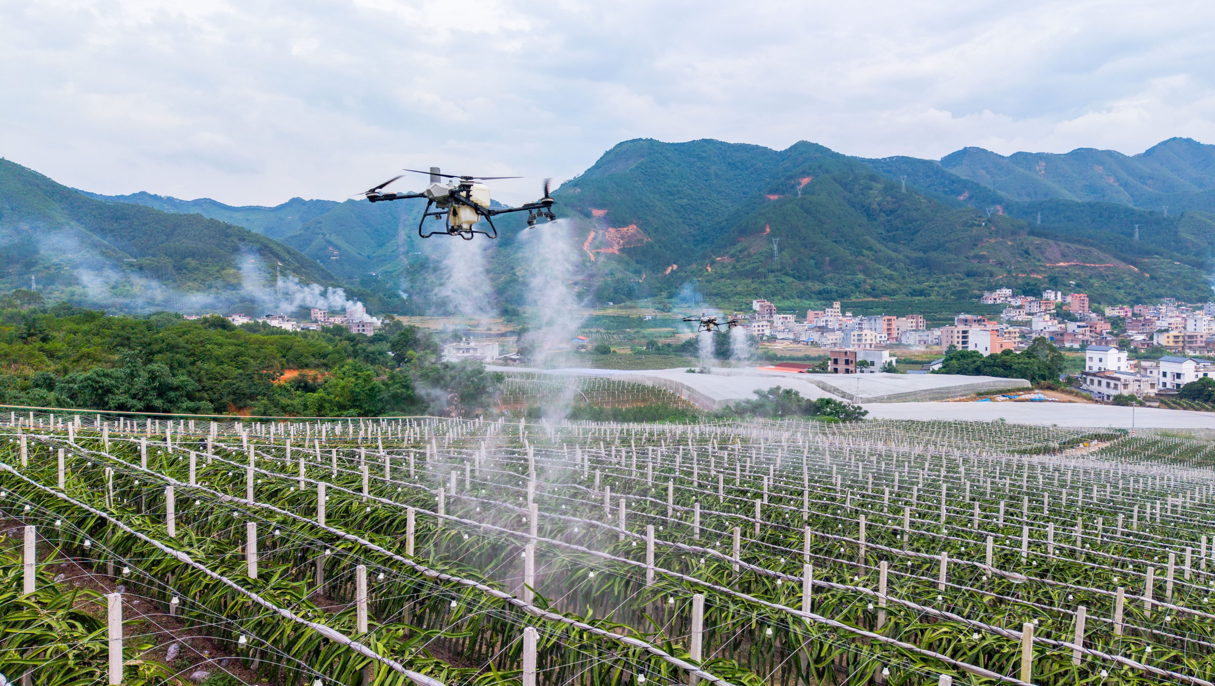 An agricultural drone operates in southern China’s Guangxi Zhuang autonomous region on July 18. Photo: VCG via Getty Images