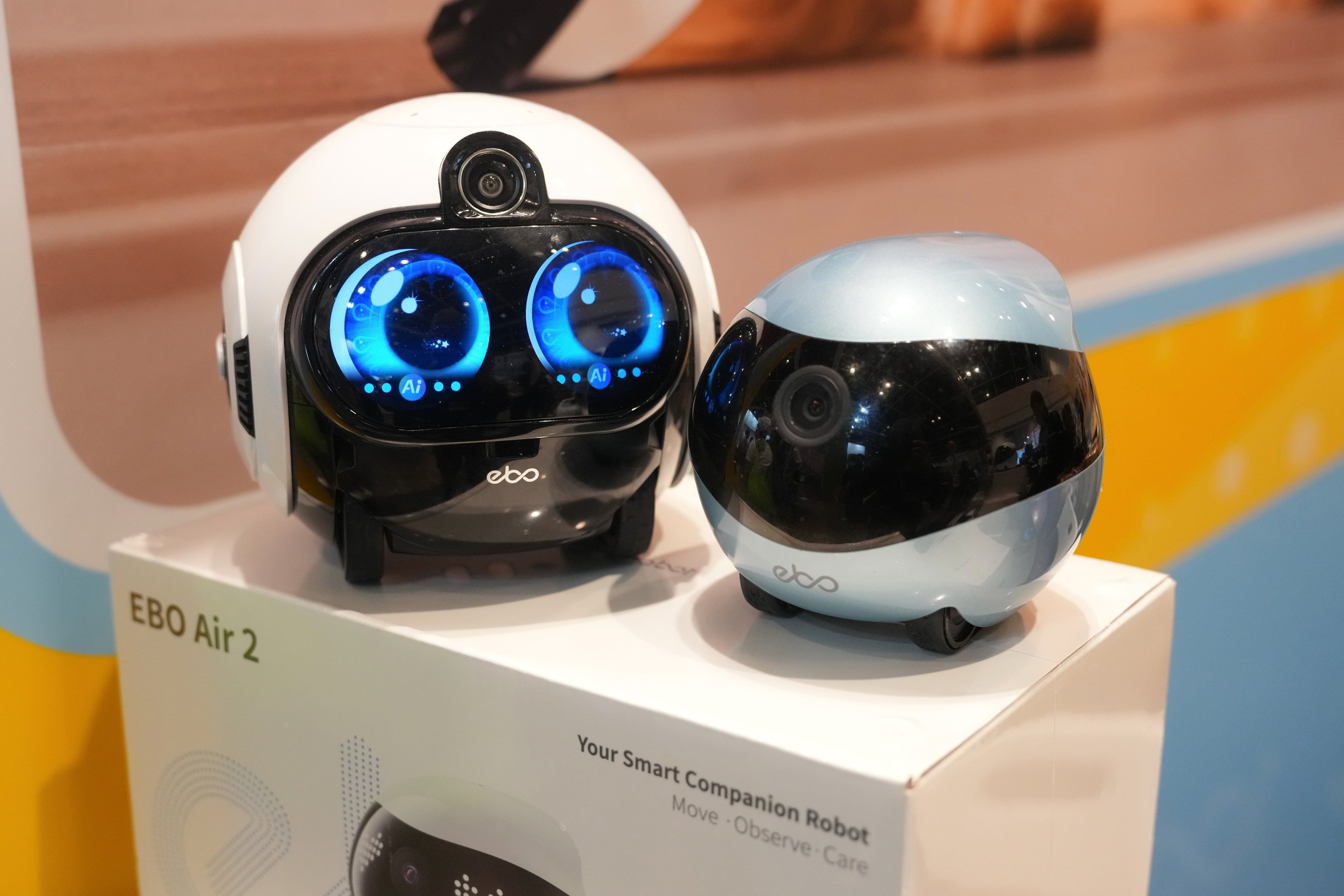 The Futex Corporation’s AI-powered companion robots are among the items being sold at the expo. Photo: Karma Lo