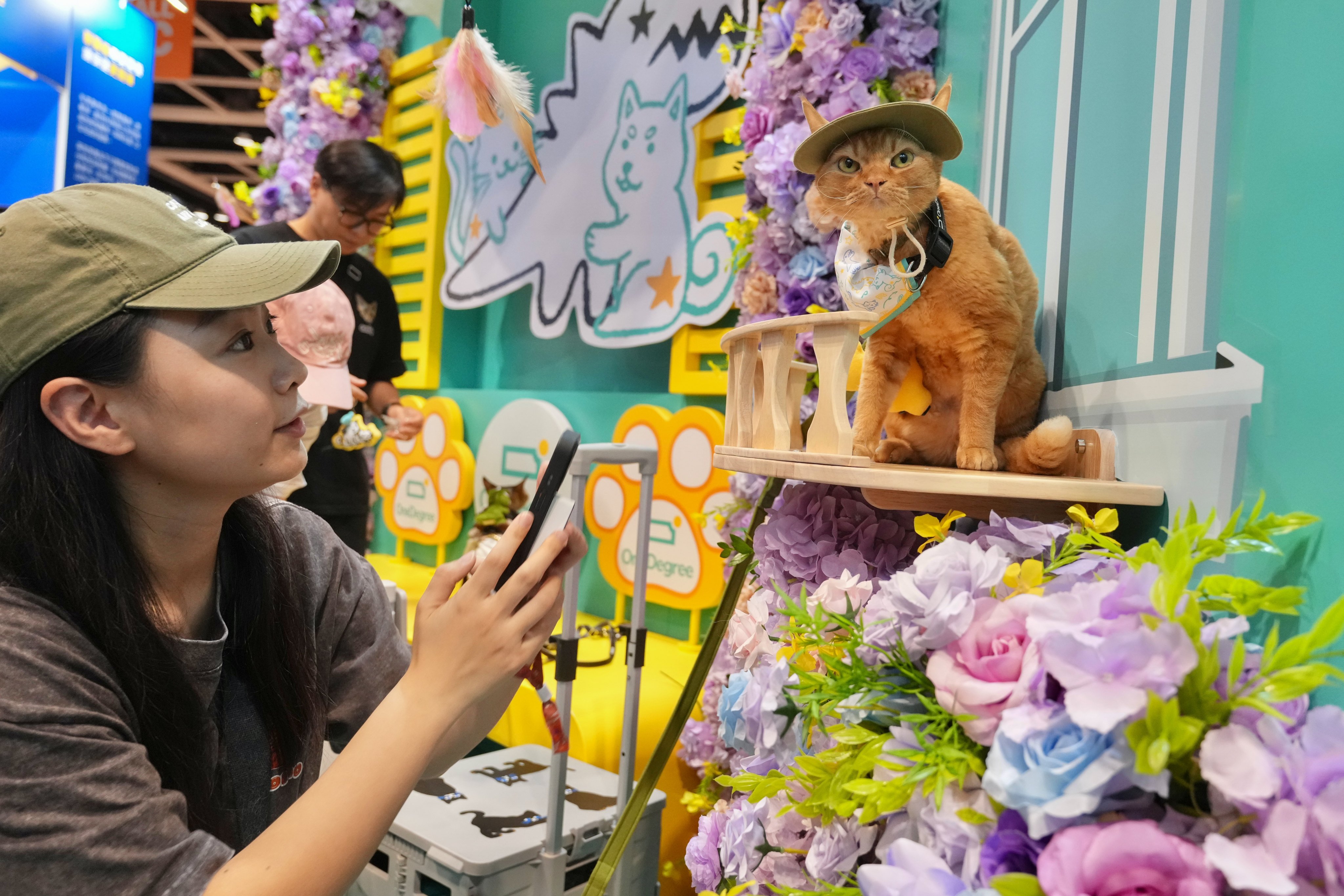 Visitors explore the venue and take photos with cats. Photo: Karma Lo