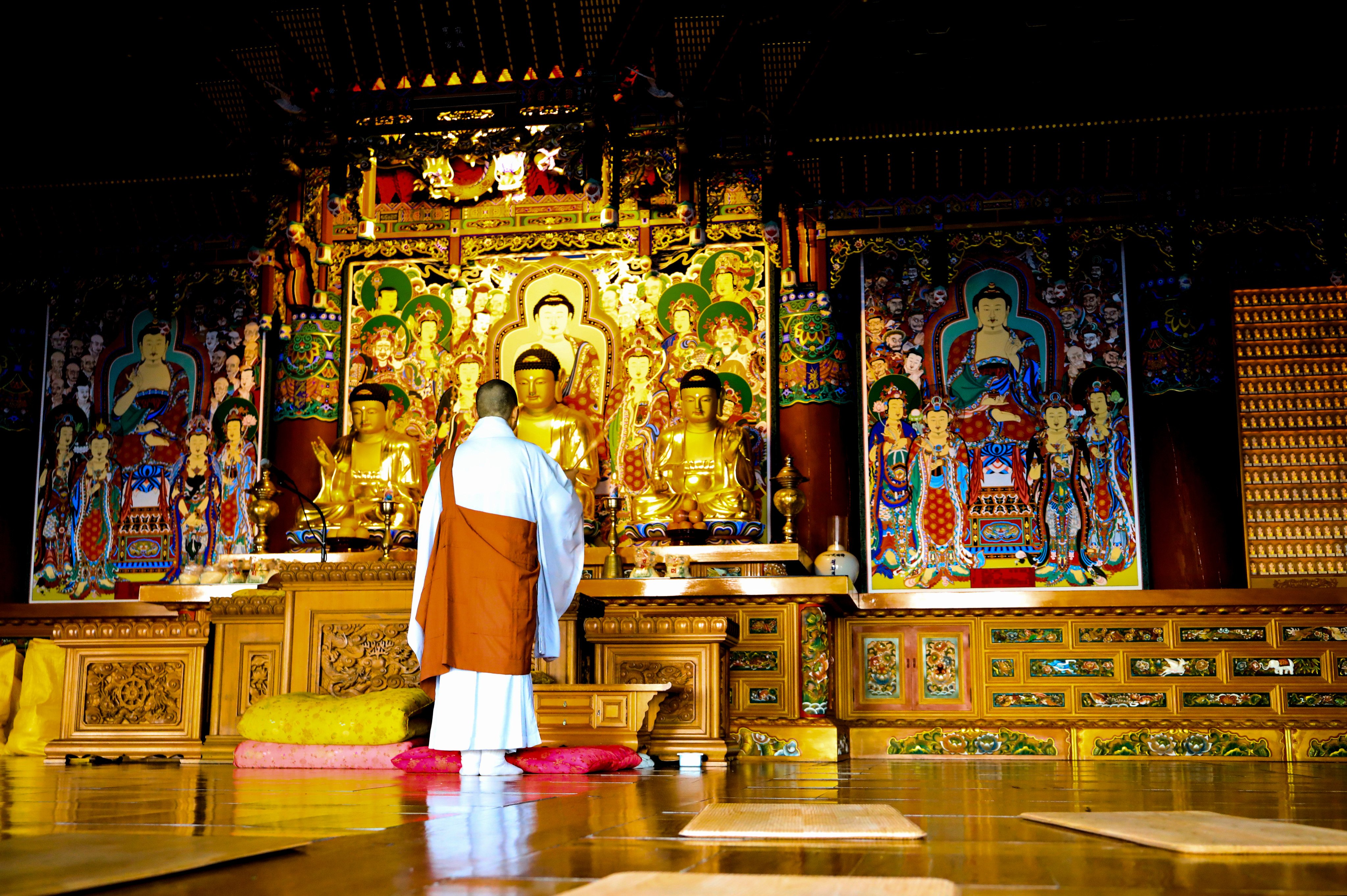 A monk prays in front of Buddha images at Haedong Yonggungsa Temple in Busan. Photo: Shutterstock