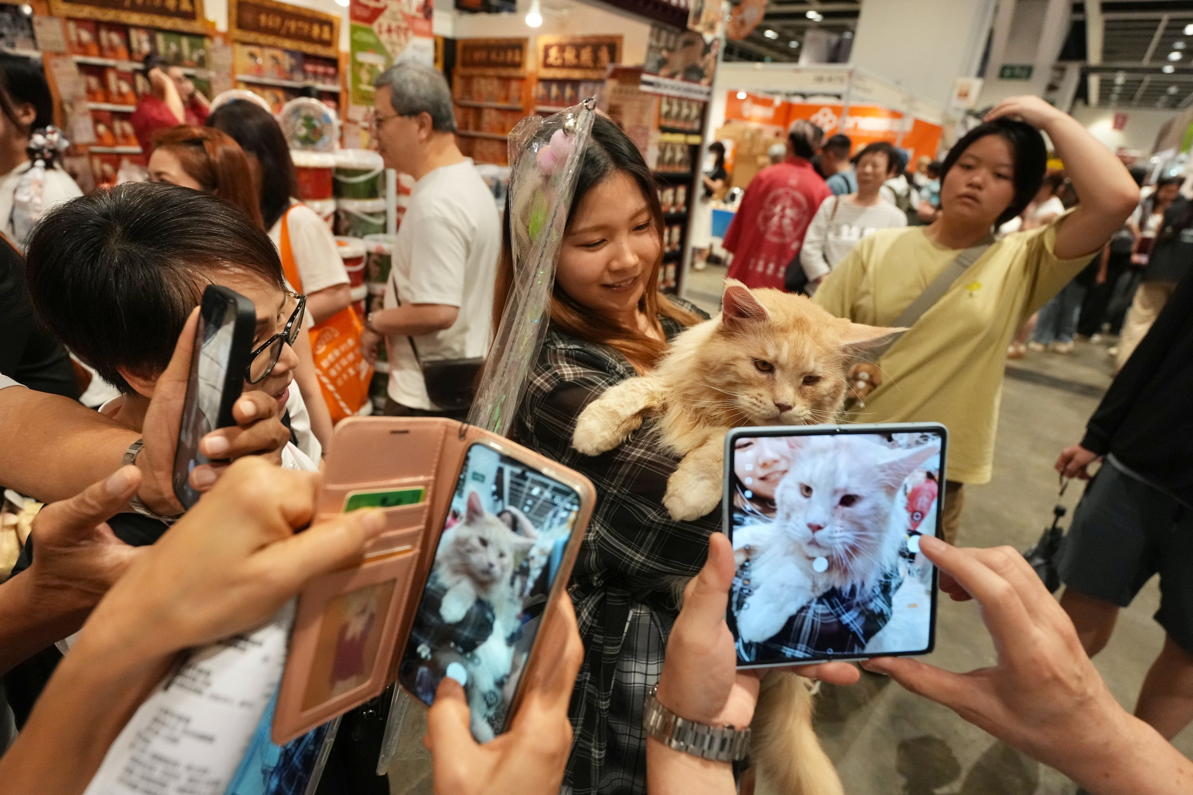 The Hong Kong Cat Expo 2026 was held from July 31 to Aug 2 in Wan Chai. Photo: Karma Lo