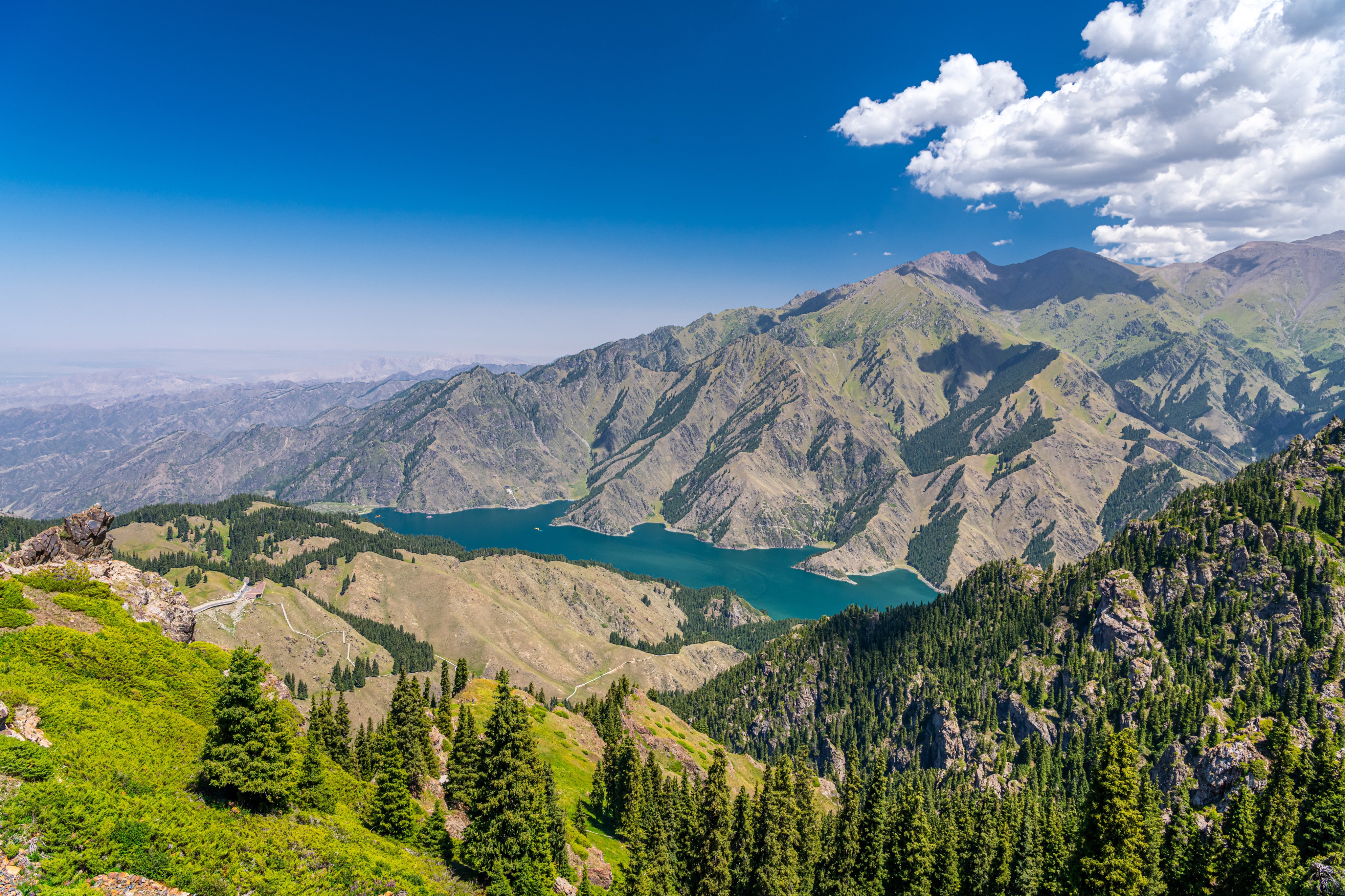 The plant in question can be found at the foot of the Tianshan Mountains in China’s Xinjiang Uygur autonomous region. Photo: Getty Images
