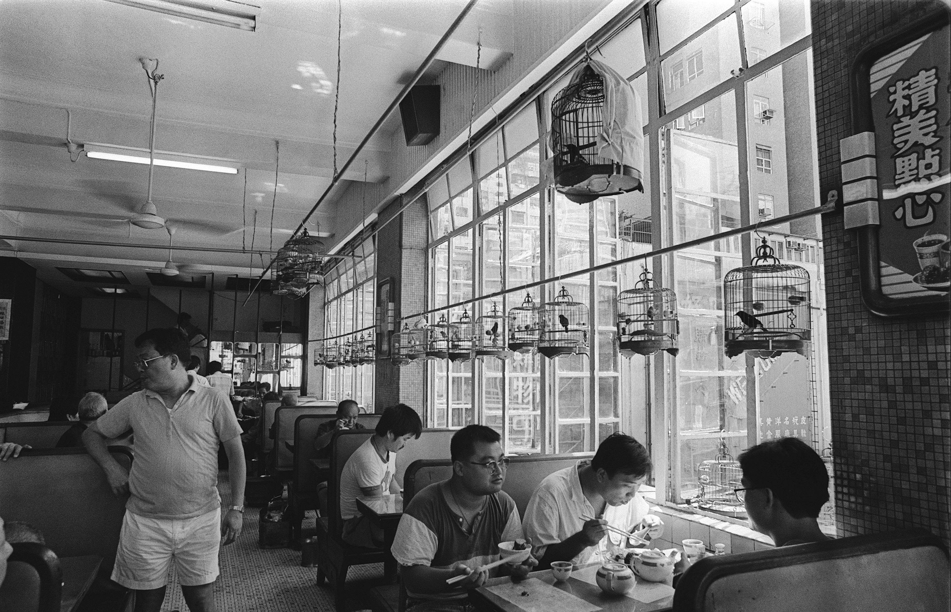 Bird song was a signature feature of Mong Kok's Wan Loy Teahouse, seen here in 1987. Photo: SCMP Archives