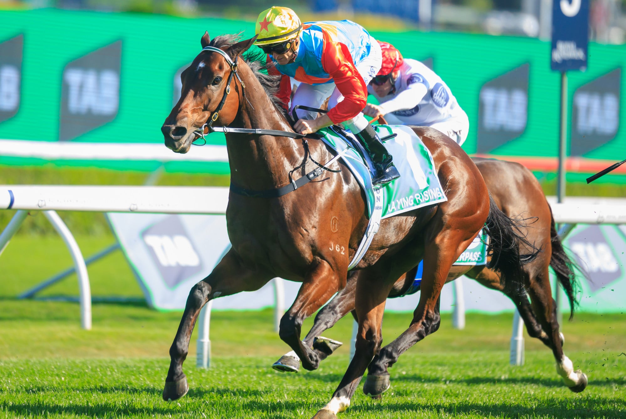 Ka Ying Rising, ridden by Zac Purton, wins the 2025 Group One Everest at Randwick Racecourse. Photo: Handout from HKJC
