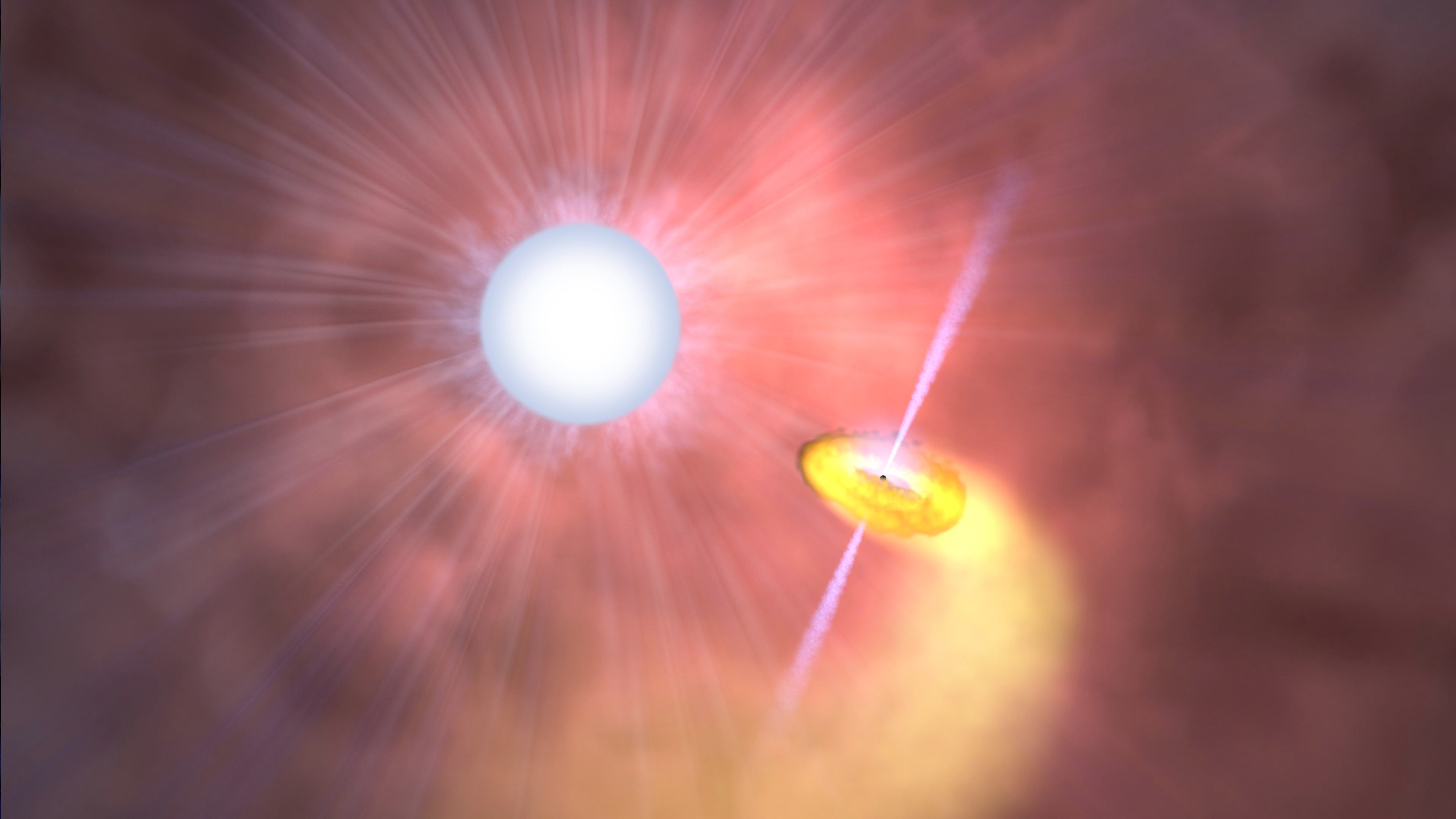 Cygnus X-3 is a binary system in which a black hole likely feeds on a massive companion while launching powerful jets. Illustration: Nasa’s Goddard Space Flight Centre