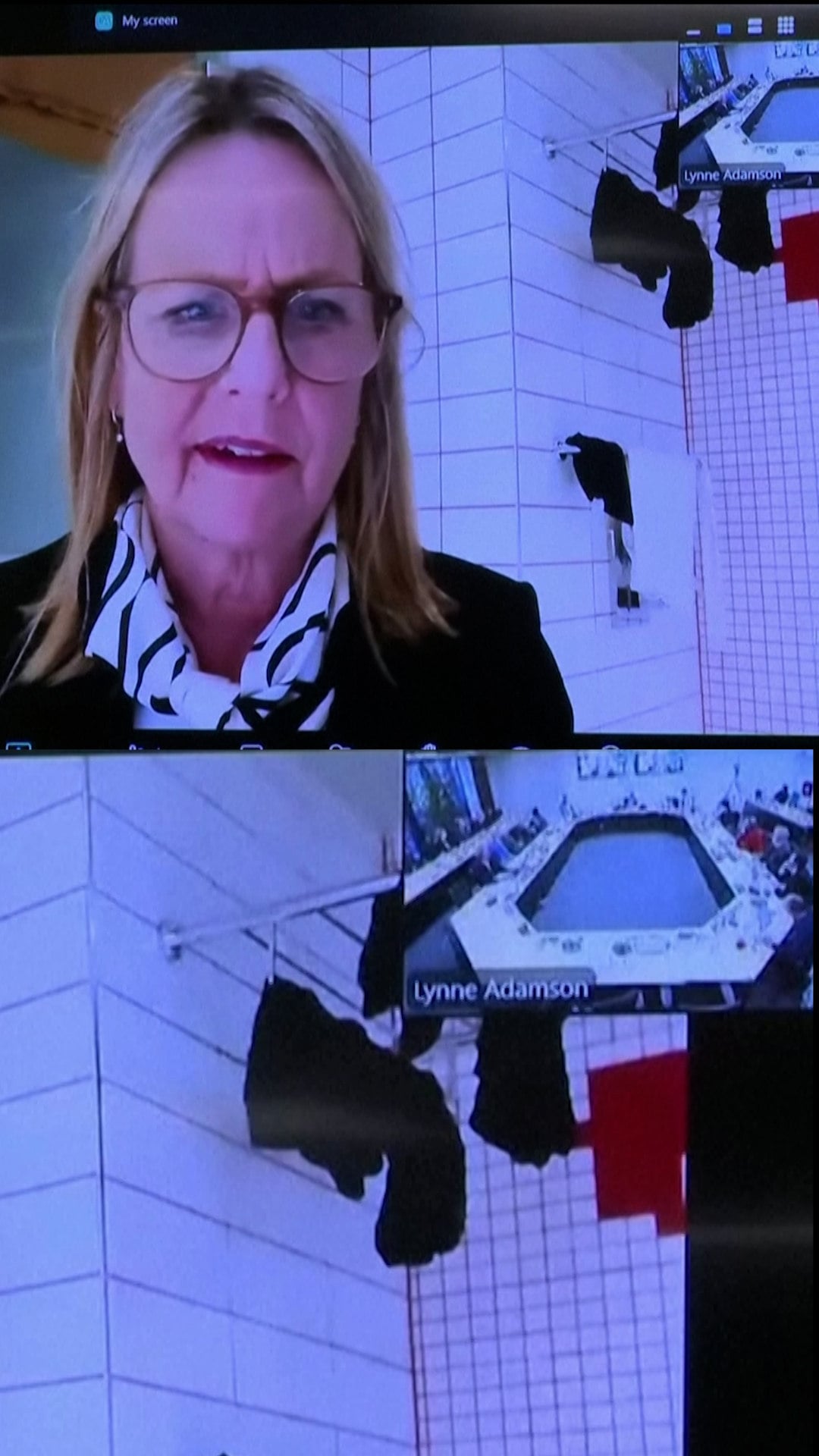 A New Zealand politician Jo Galer  has raised eyebrows after joining a high-stakes meeting from a bathroom.