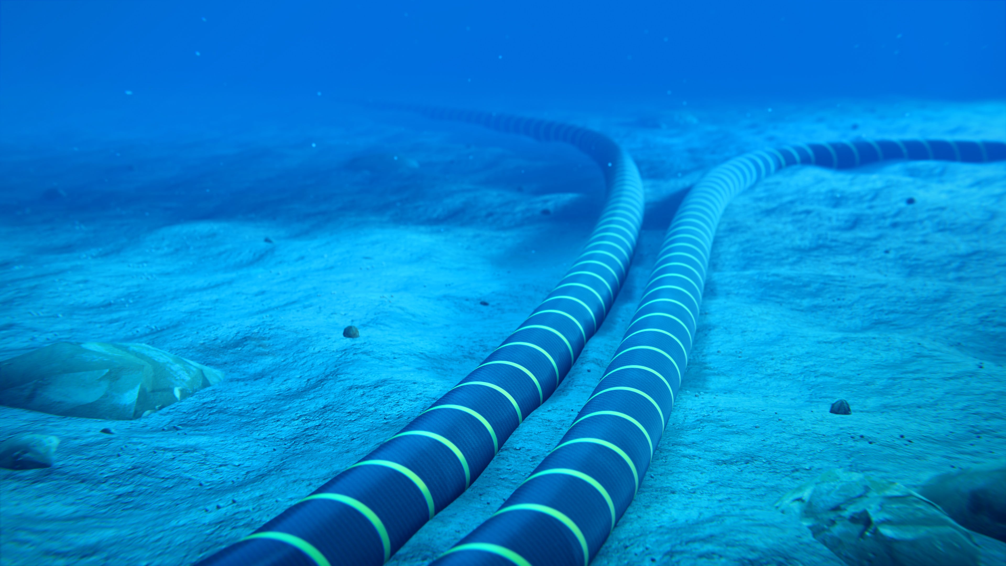 Underwater fibre-optic cables carry about 99 per cent of global intercontinental data. Photo: Shutterstock