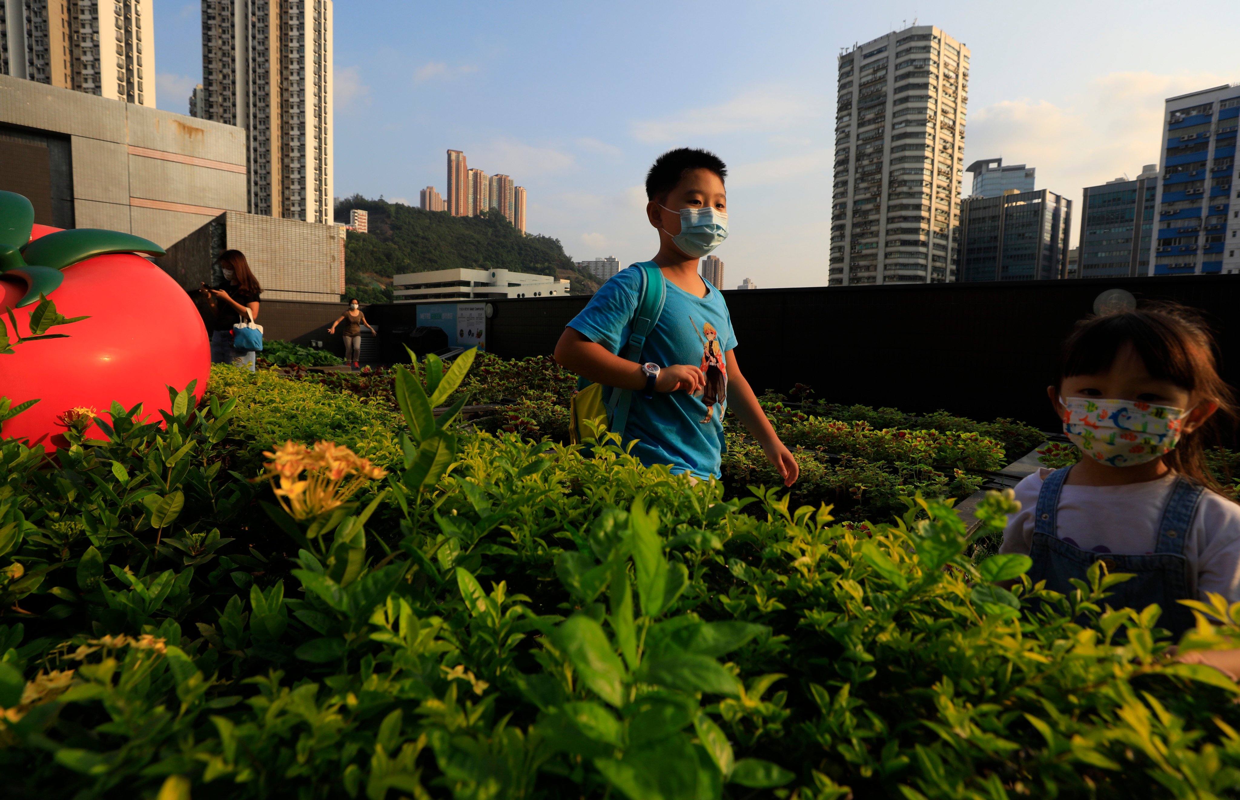 A rooftop farm at Metroplaza in Kwai Fong in 2022. High-rise developments should prioritise operable windows and sky gardens to ease vertical heat accumulation. Photo: Xiaomei Chen