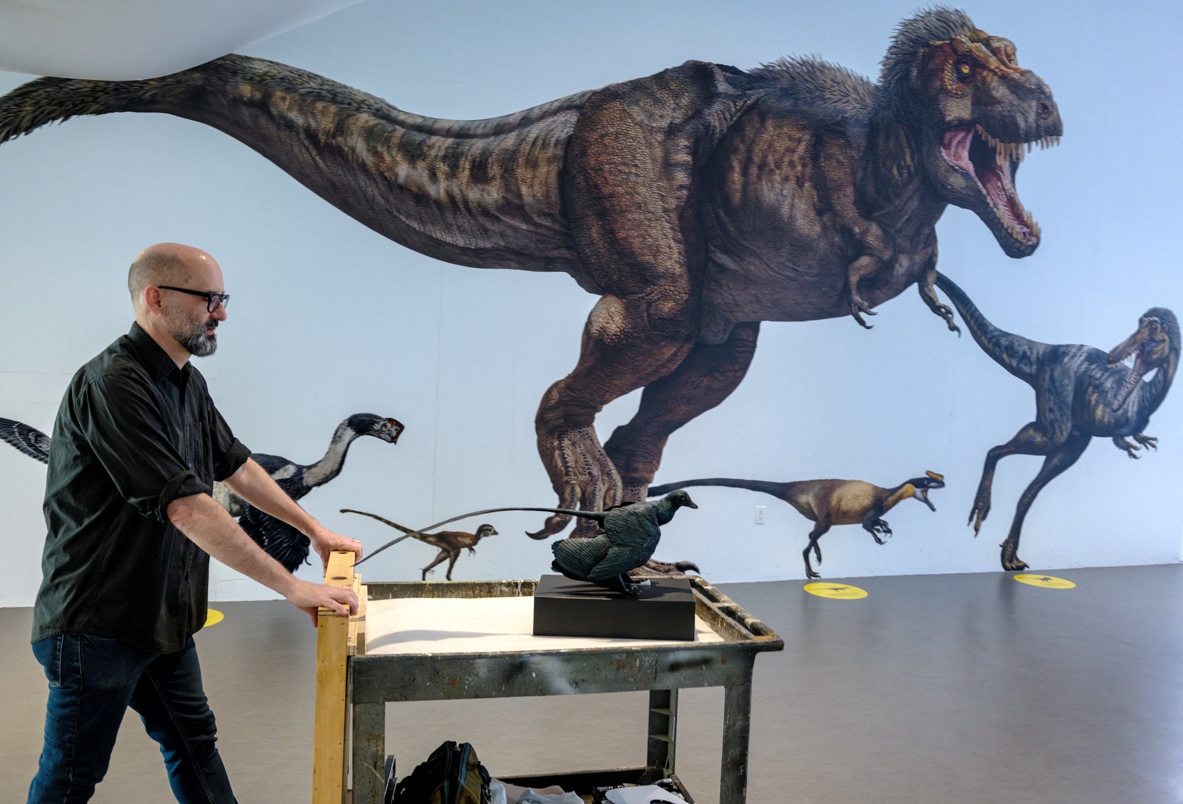 A model of a Microraptor (front) is wheeled out for display at the American Museum of Natural History in New York. The crow-sized Microraptor was one of the smallest-known dinosaurs, weighing about 430 grams. Photo: Reuters