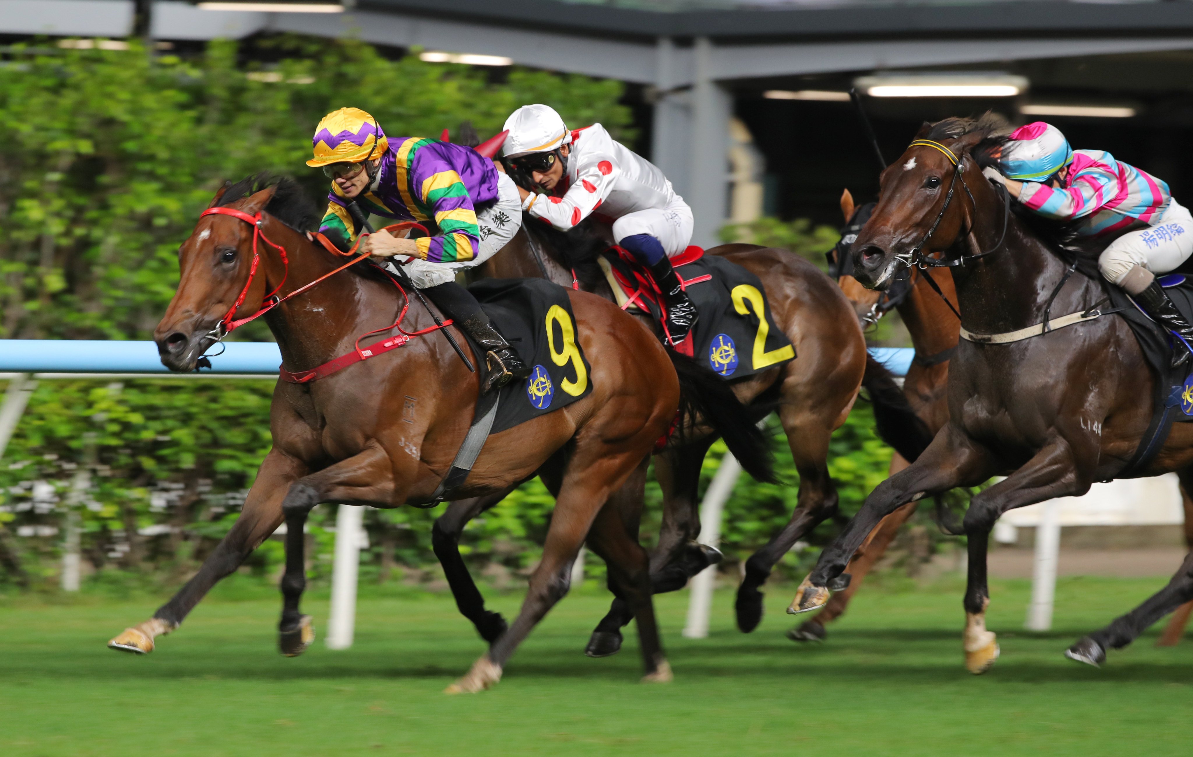 Jerry Chau, here riding The Perfect Match (#9), enjoyed a stand-out season in Hong Kong last campaign, racking up 48 winners. Photo: Kenneth Chan.