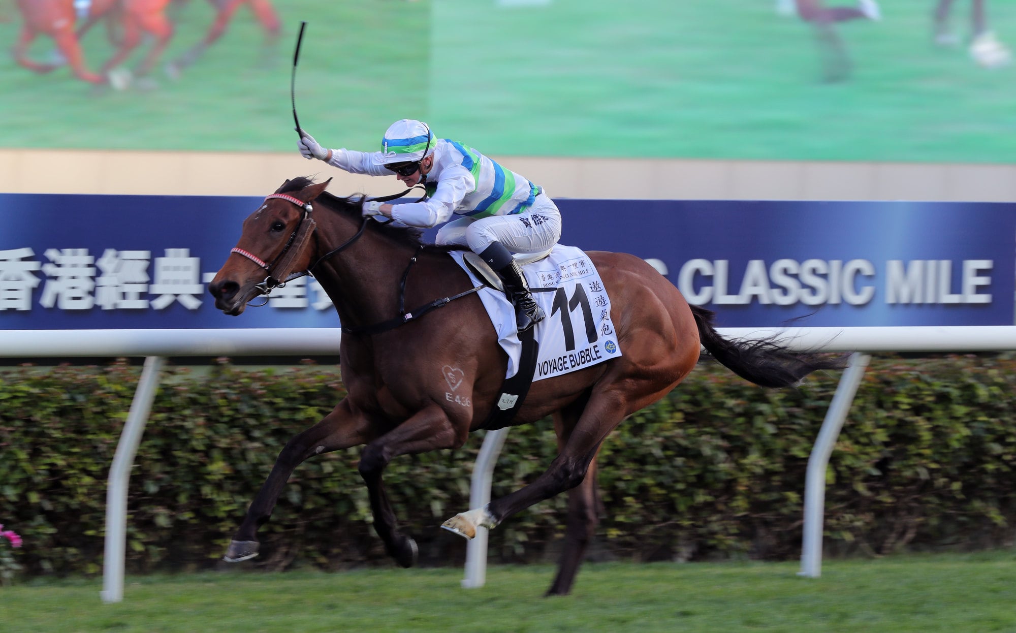 Jamie Melham wins the 2023 Classic Mile aboard Voyage Bubble. Photo: Kenneth Chan Jamie Melham wins the 2023 Classic Mile aboard Voyage Bubble. Photo: Kenneth Chan