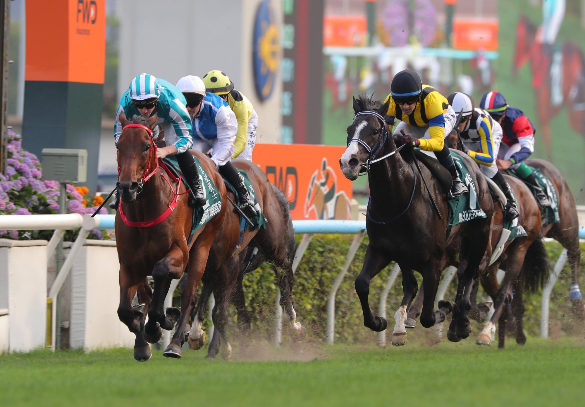 Christophe Lemaire (right) and Japanese star Masquerade Ball push Romantic Warrior hard at Sha Tin. Christophe Lemaire (right) and Japanese star Masquerade Ball push Romantic Warrior hard at Sha Tin.