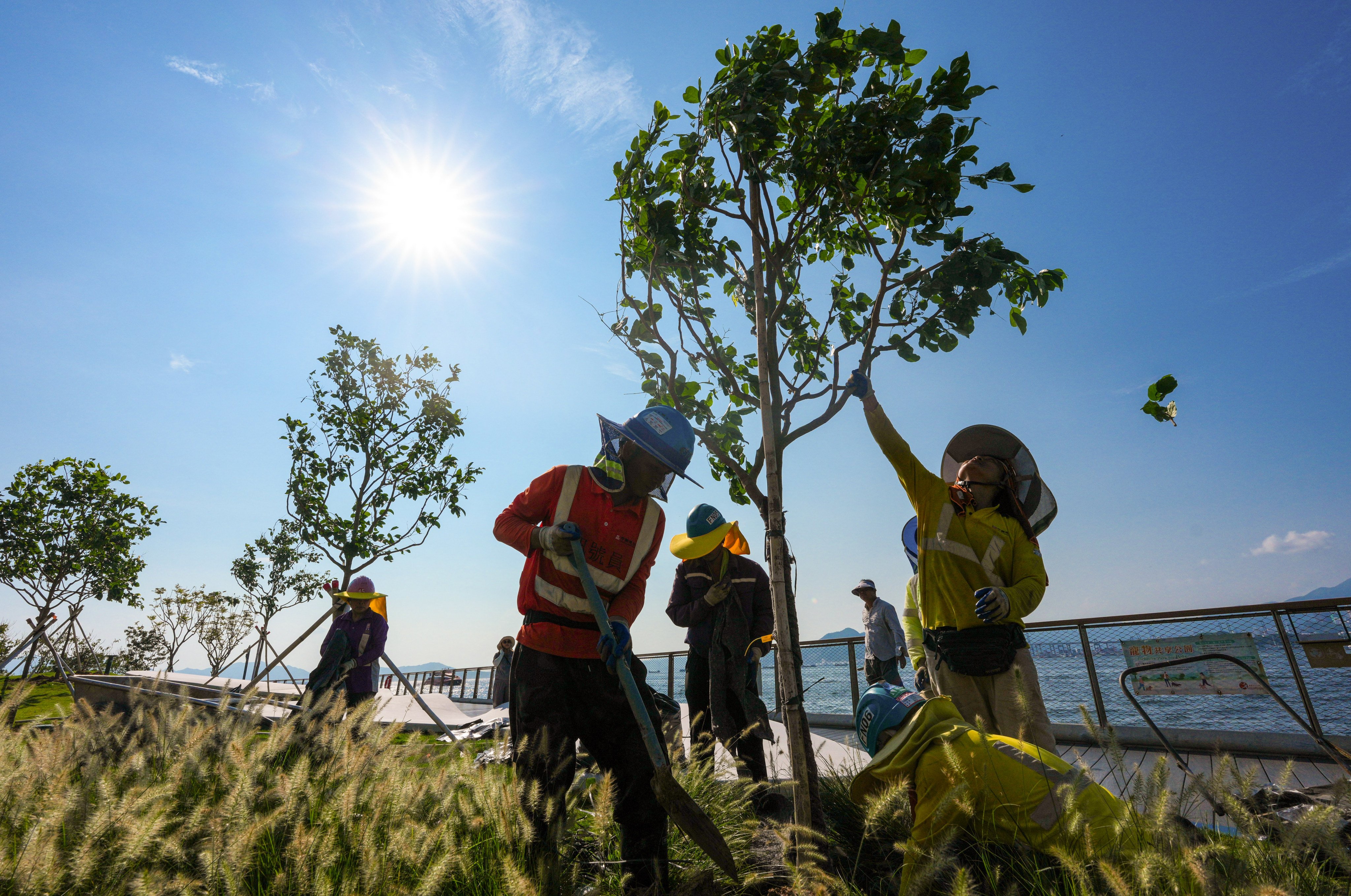 scmp.com - Ng Kang-chung - Calls for system review after lowest alert in force during record-breaking heat