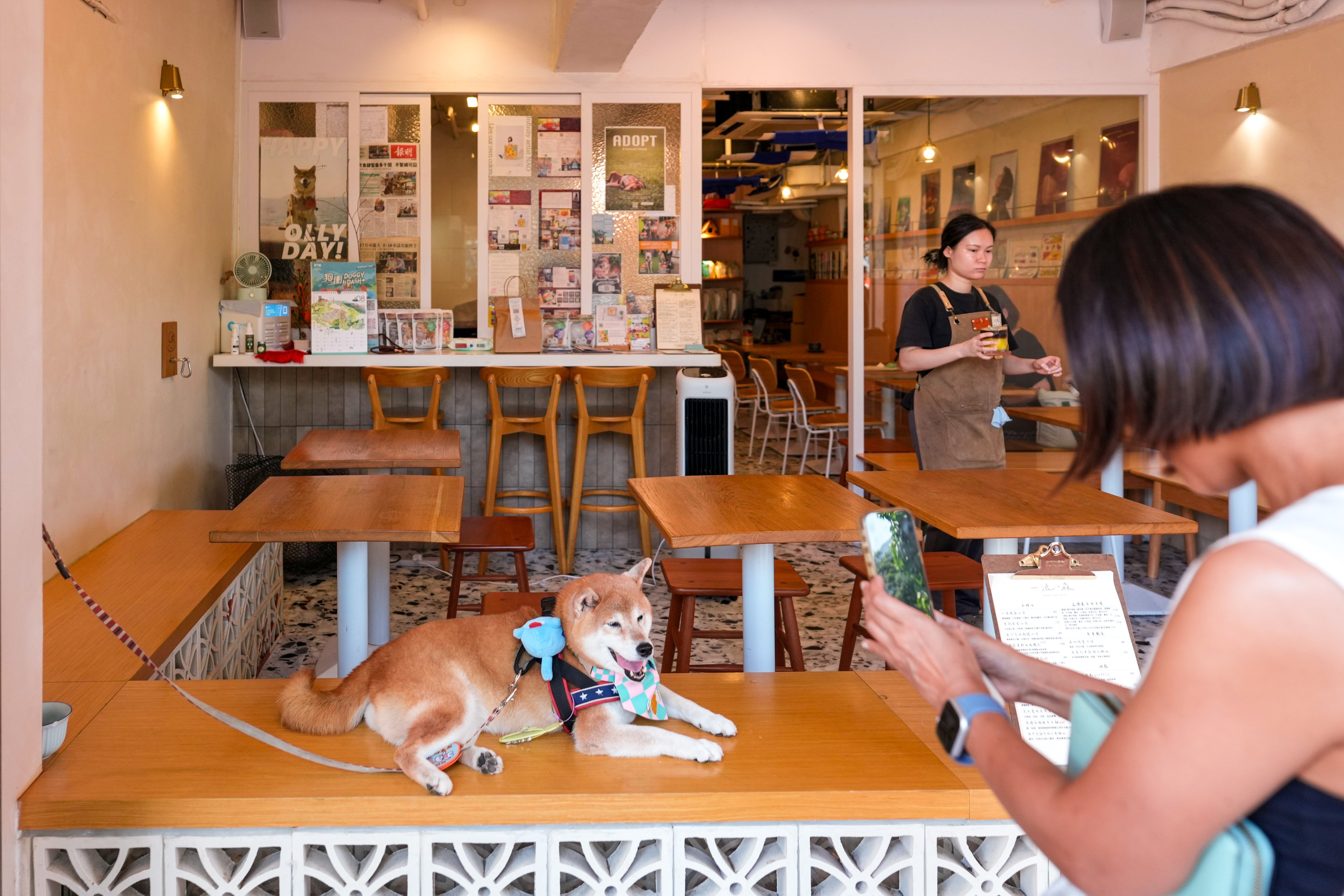 Wan Land Mori reported that pet-owner patronage has grown by about 30 per cent. Photo: Dickson Lee