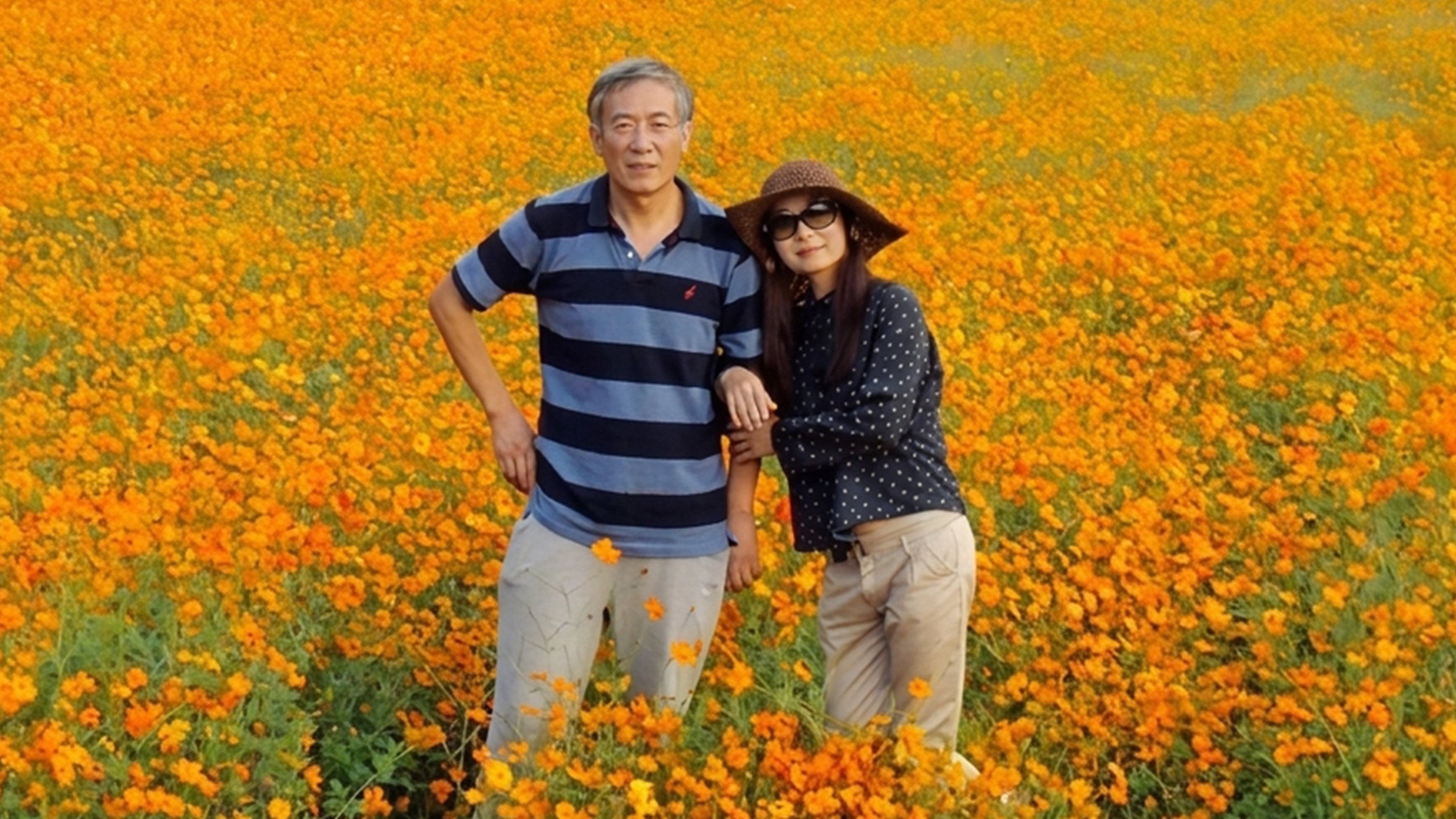 Inspired by his wife's childhood memories, a dedicated Chinese tourism planner transformed a barren hillside into the world's largest hollyhock garden, a testament to their enduring love. Photo: zqb.cyol.com