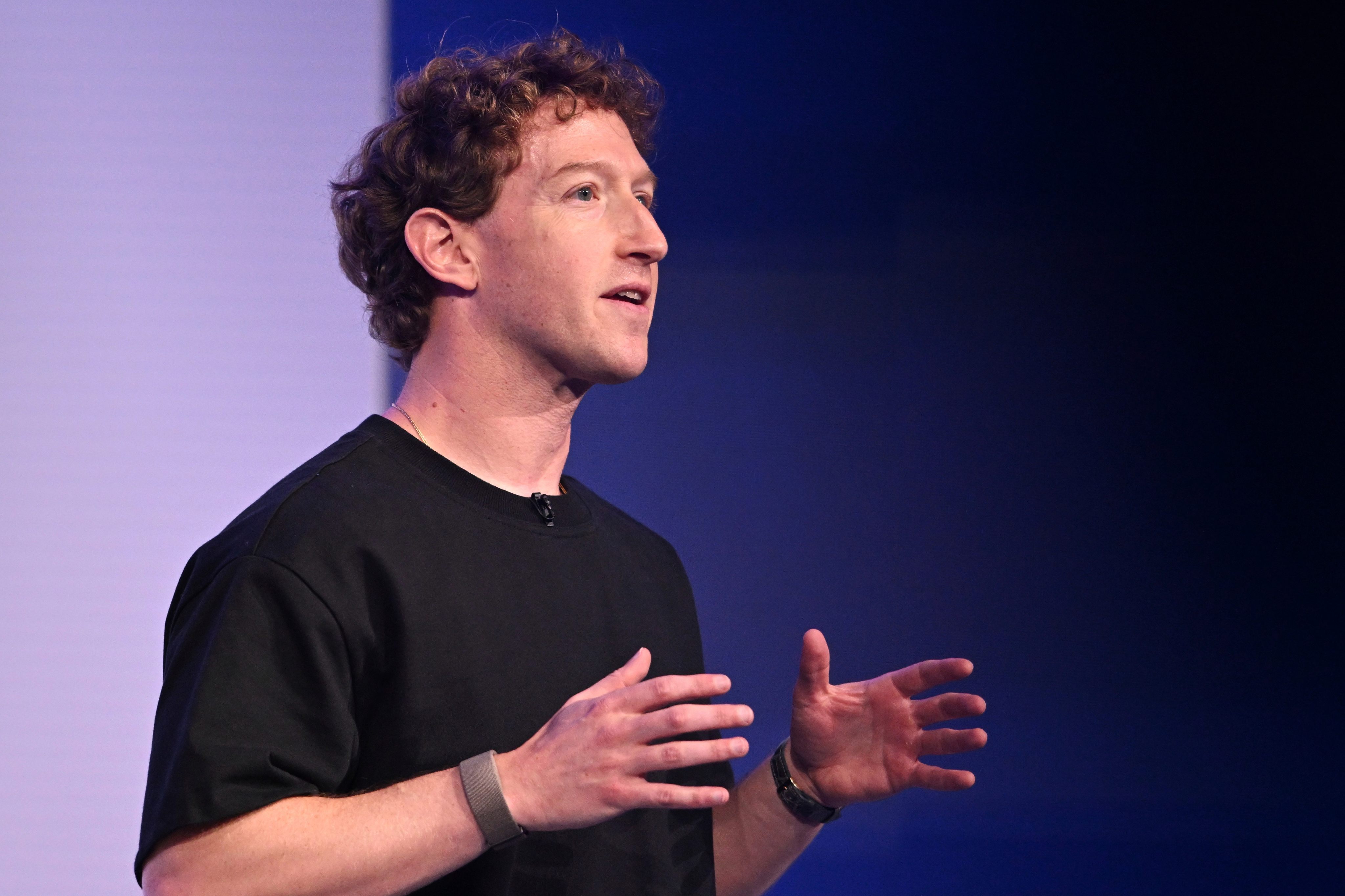 Meta CEO Mark Zuckerberg. Photo: AP Photo
