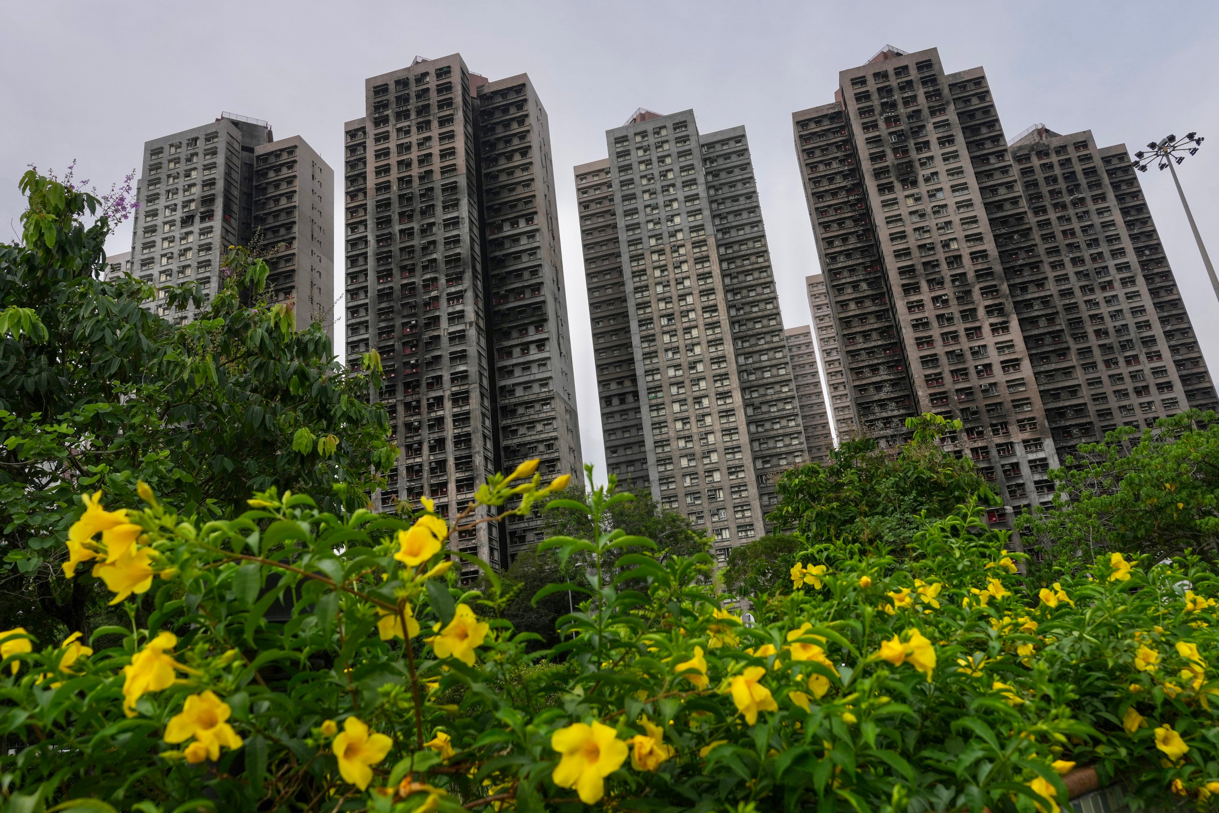 New documents detail orders for non-fire-retardant nets were ordered by Wang Fuk Court subcontractor. Photo: Karma Lo