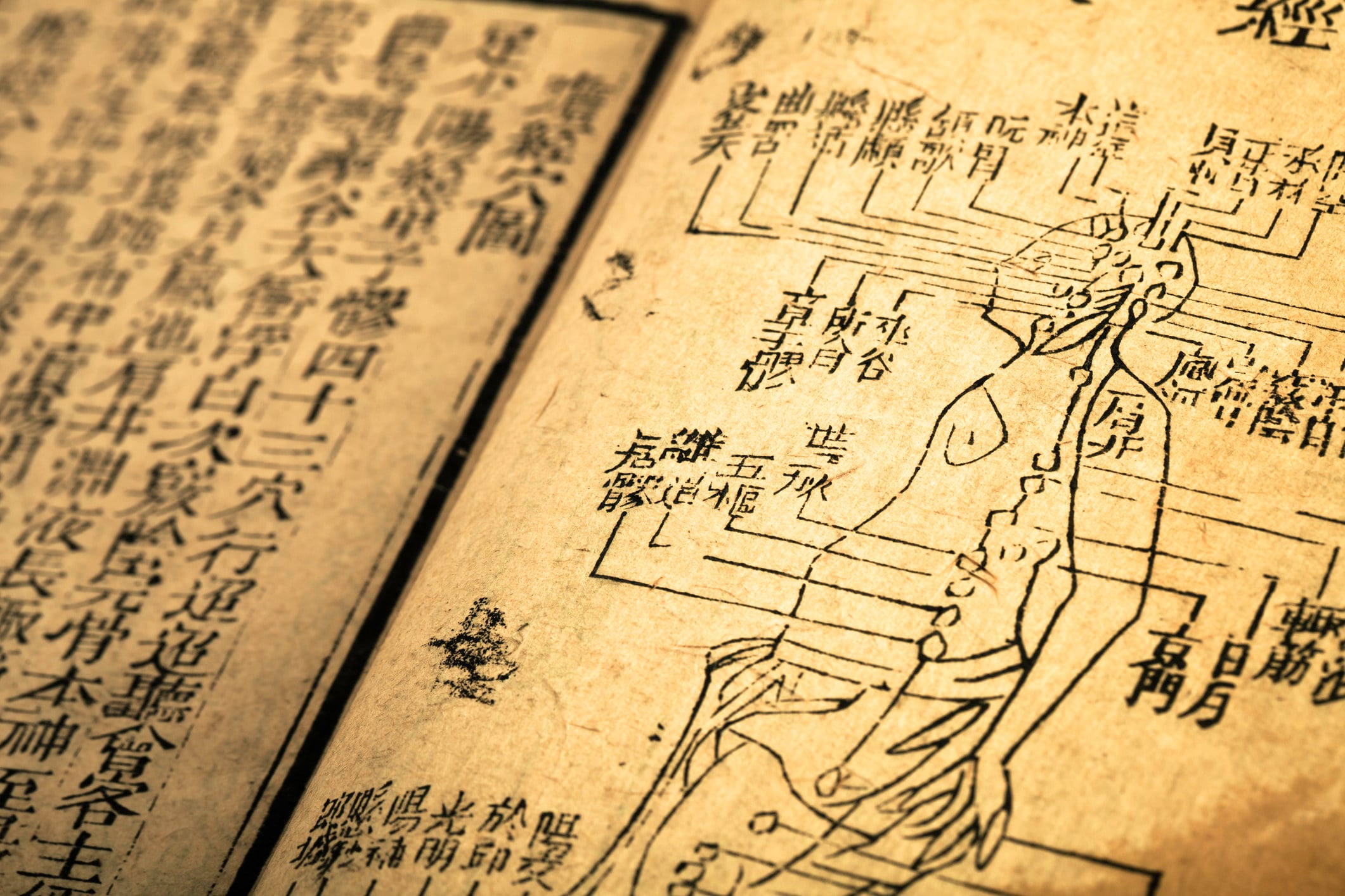 Increasing numbers of medical and scientific texts are availble online. Photo: Getty Images