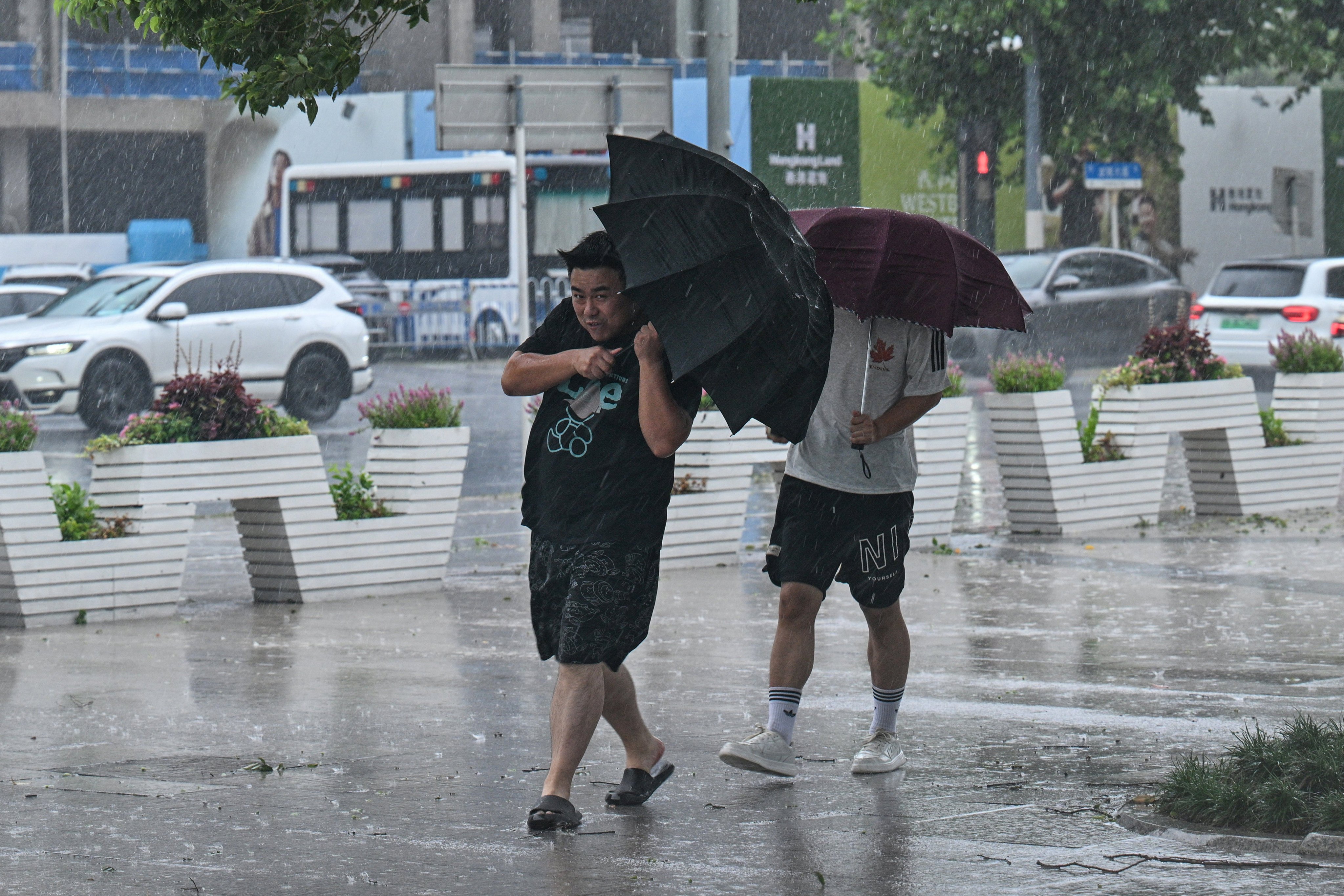 People use umbrellas to shelter from the rain as they walk on a street a day after Typhoon Dolphin made landfall in Shanghai on August 10, 2026. (Photo by Hector RETAMAL / AFP)