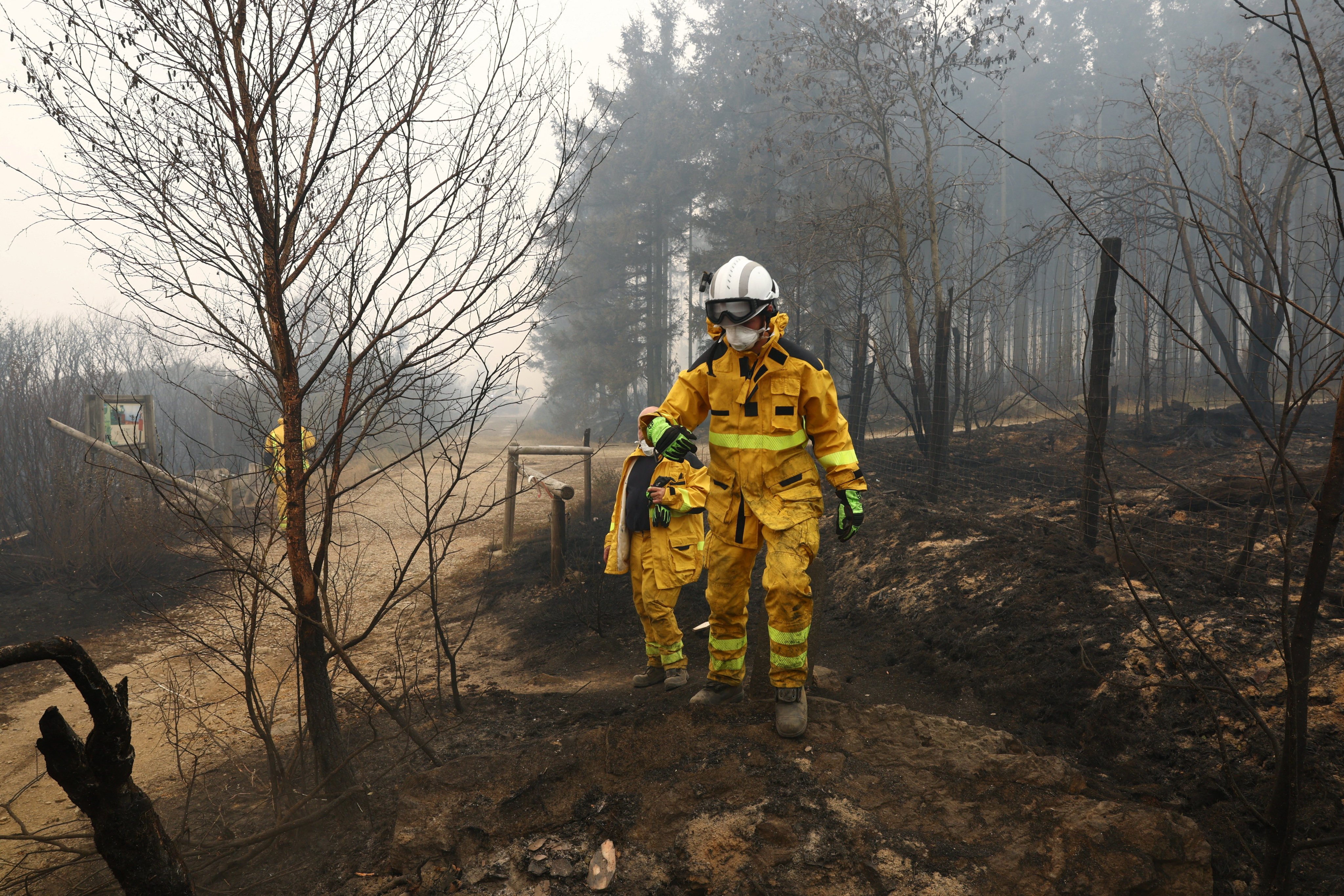 A firefighter works next to charred trees in the area affected by a wildfire near Malmedy, Belgium, on Sunday. Photo: Reuters