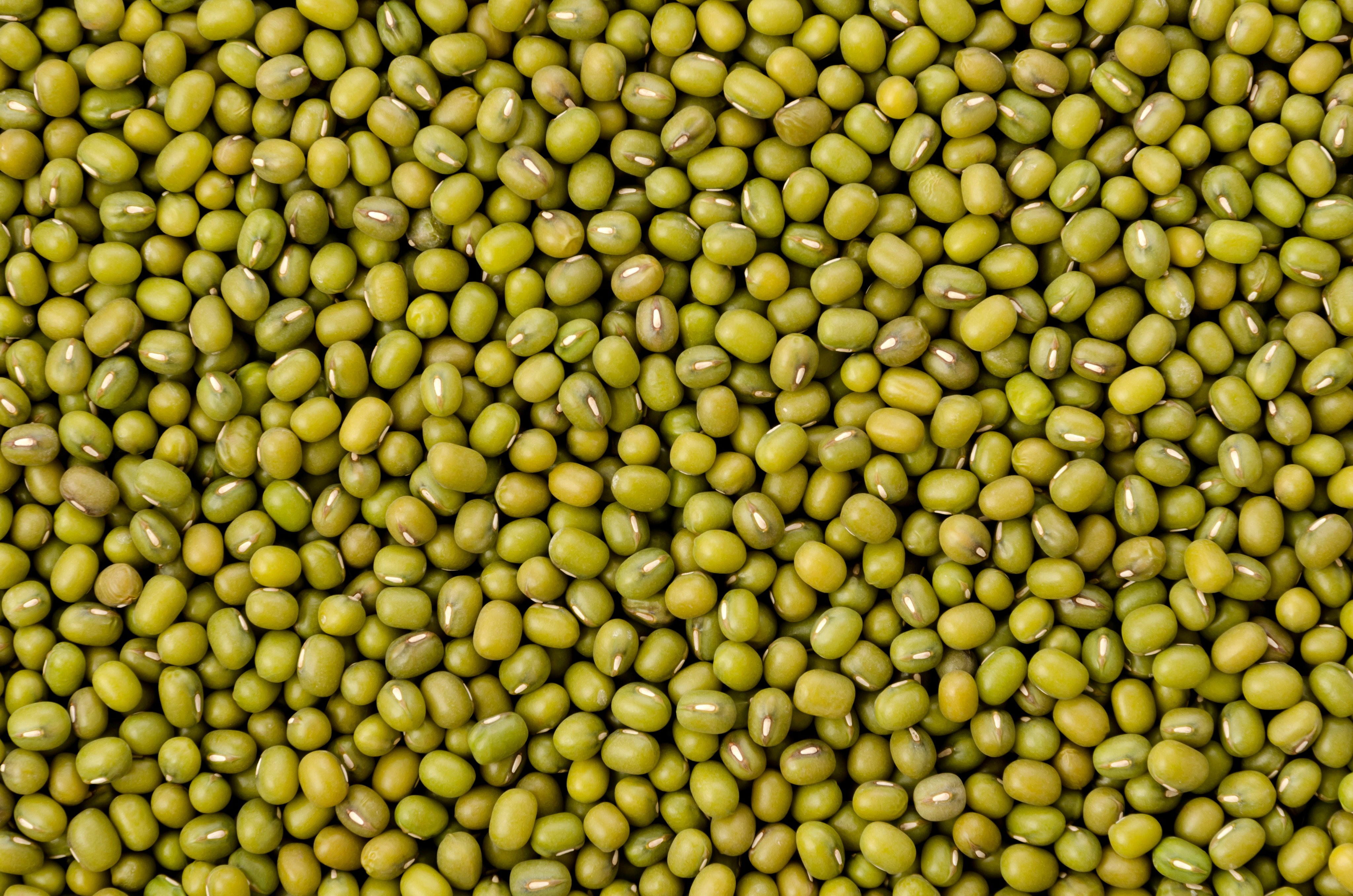 China is the largest importer of mung beans. Photo: Shutterstock