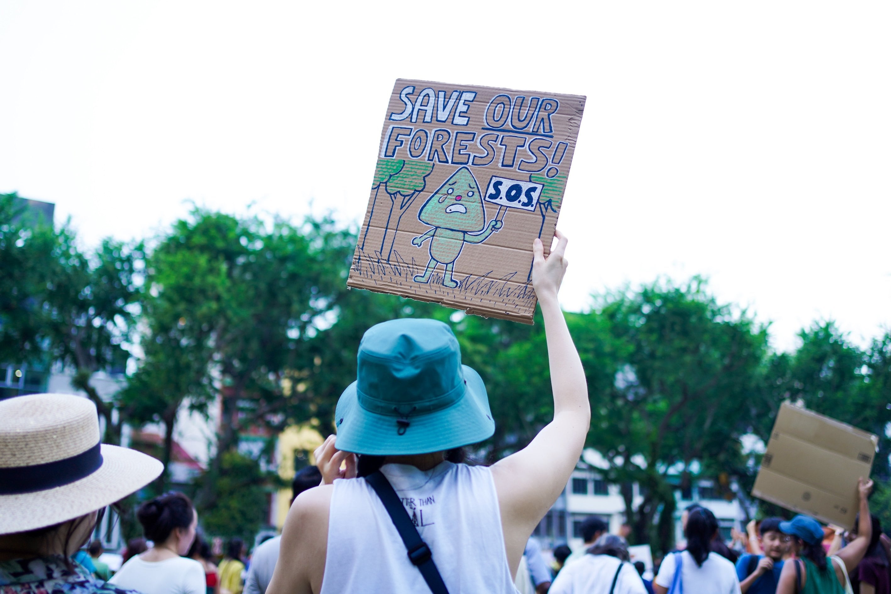 The Singapore government has said conserving more greenery would mean fewer homes for residents. Photo: Kolette Lim