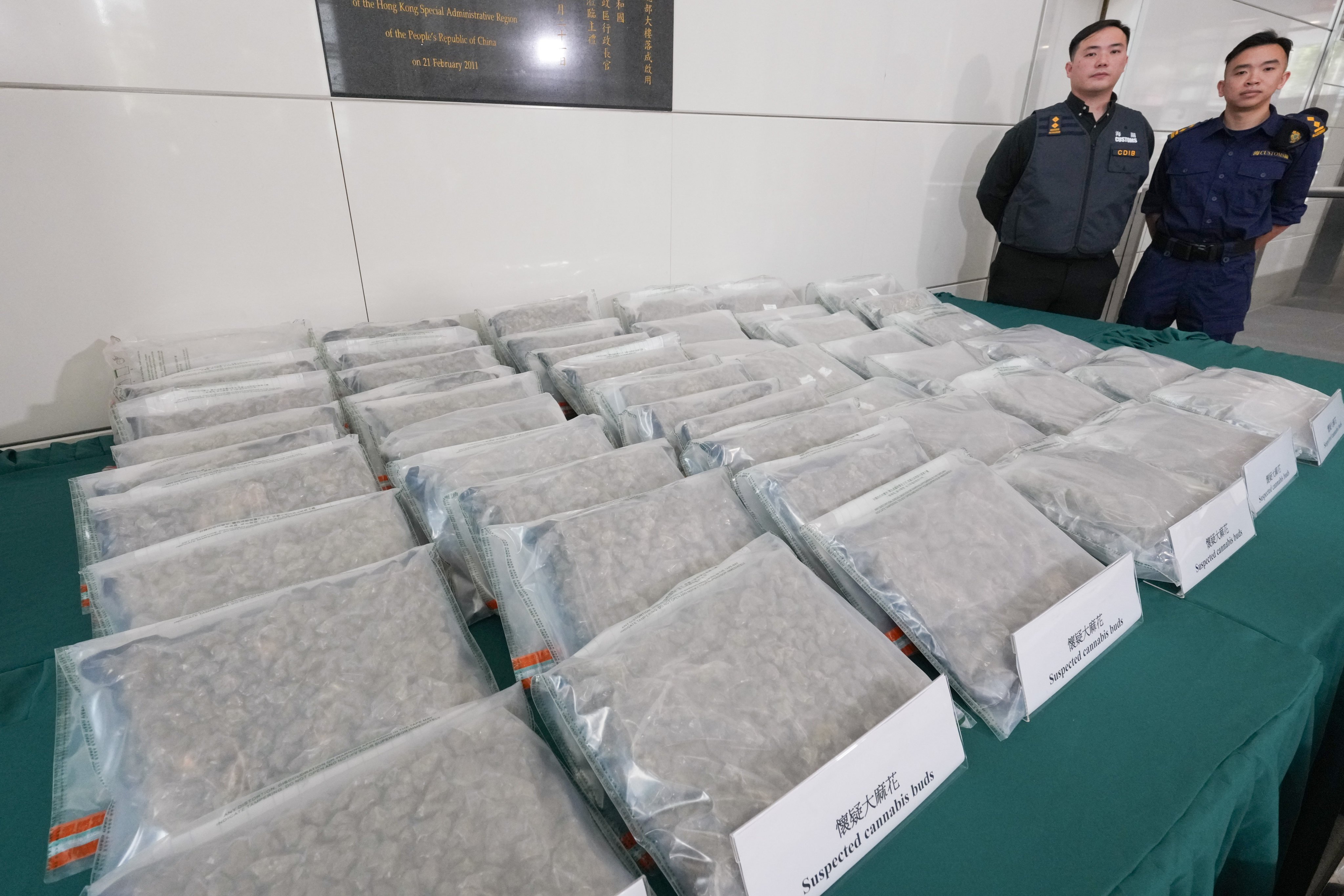 The operation, code-named Fire Mesh, resulted in the seizure of about 240kg of cannabis buds. Photo: Jelly Tse