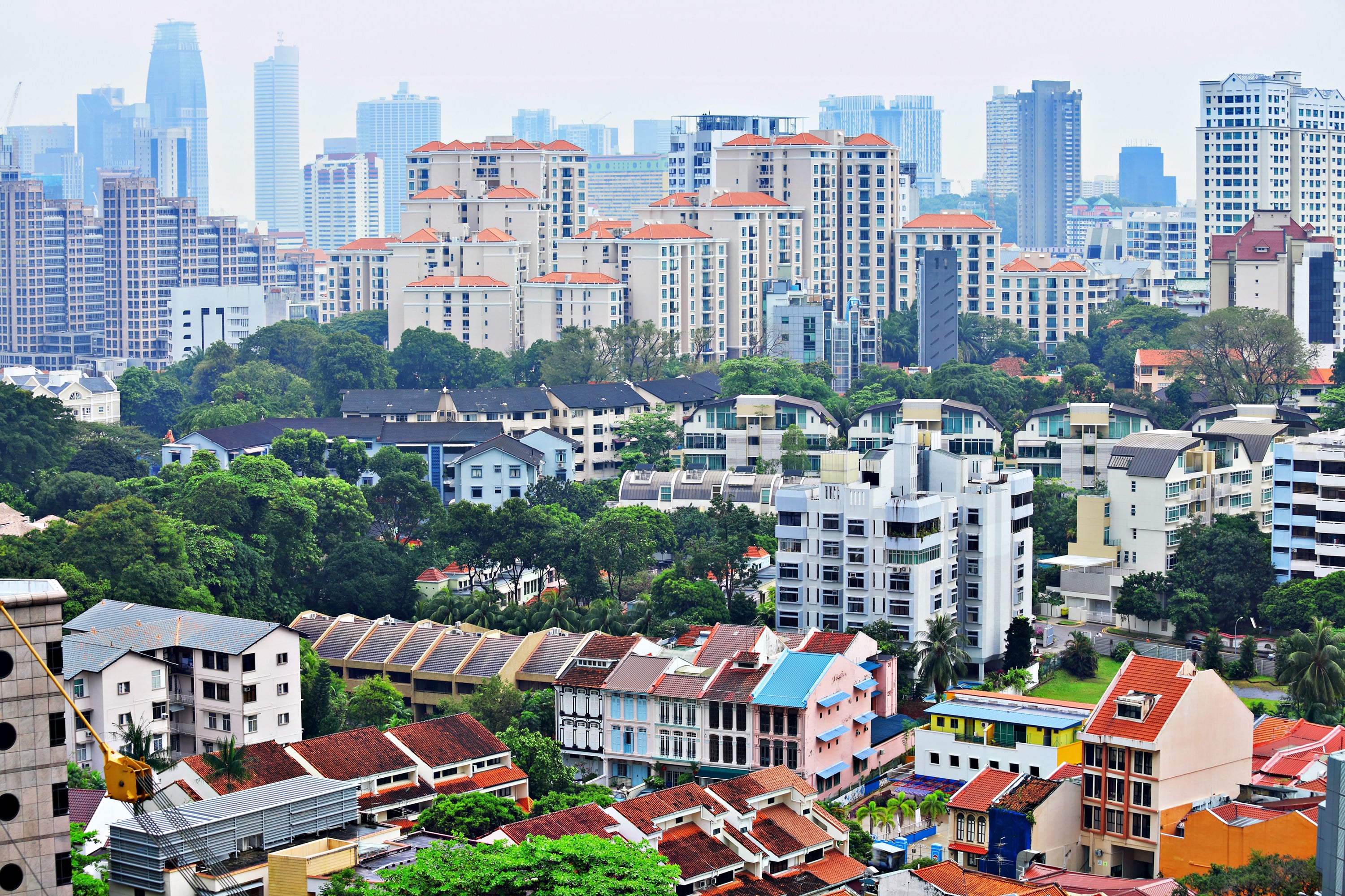 scmp.com - Anthony Rowley - Macroscope | What's so bad about a planned Hong Kong economy? Just look at Singapore