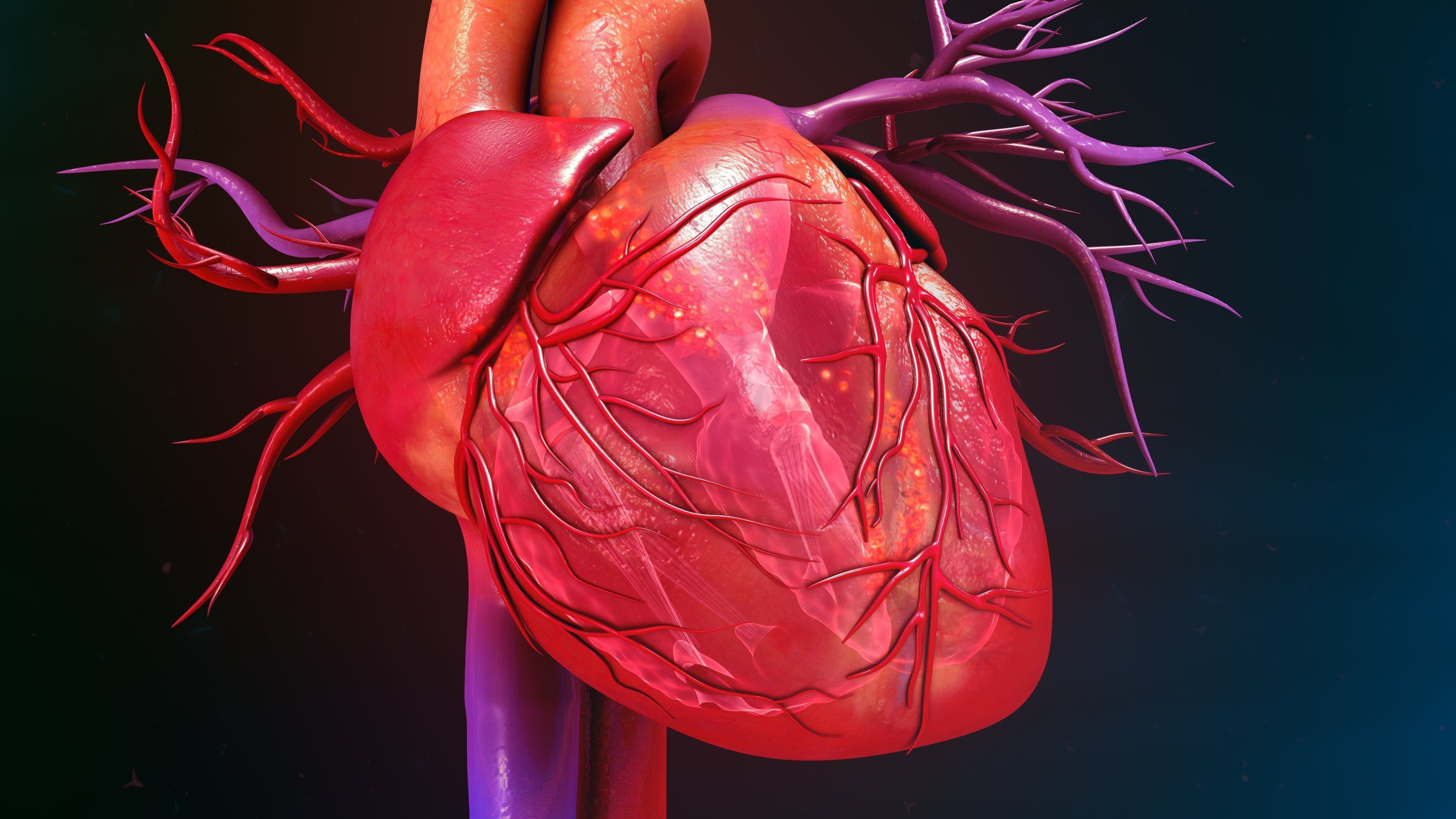 Patients with severe heart failure may experience shortness of breath after walking just a few steps, the inability to lie flat and sleep at night, and frequent hospital visits. Photo: Shutterstock