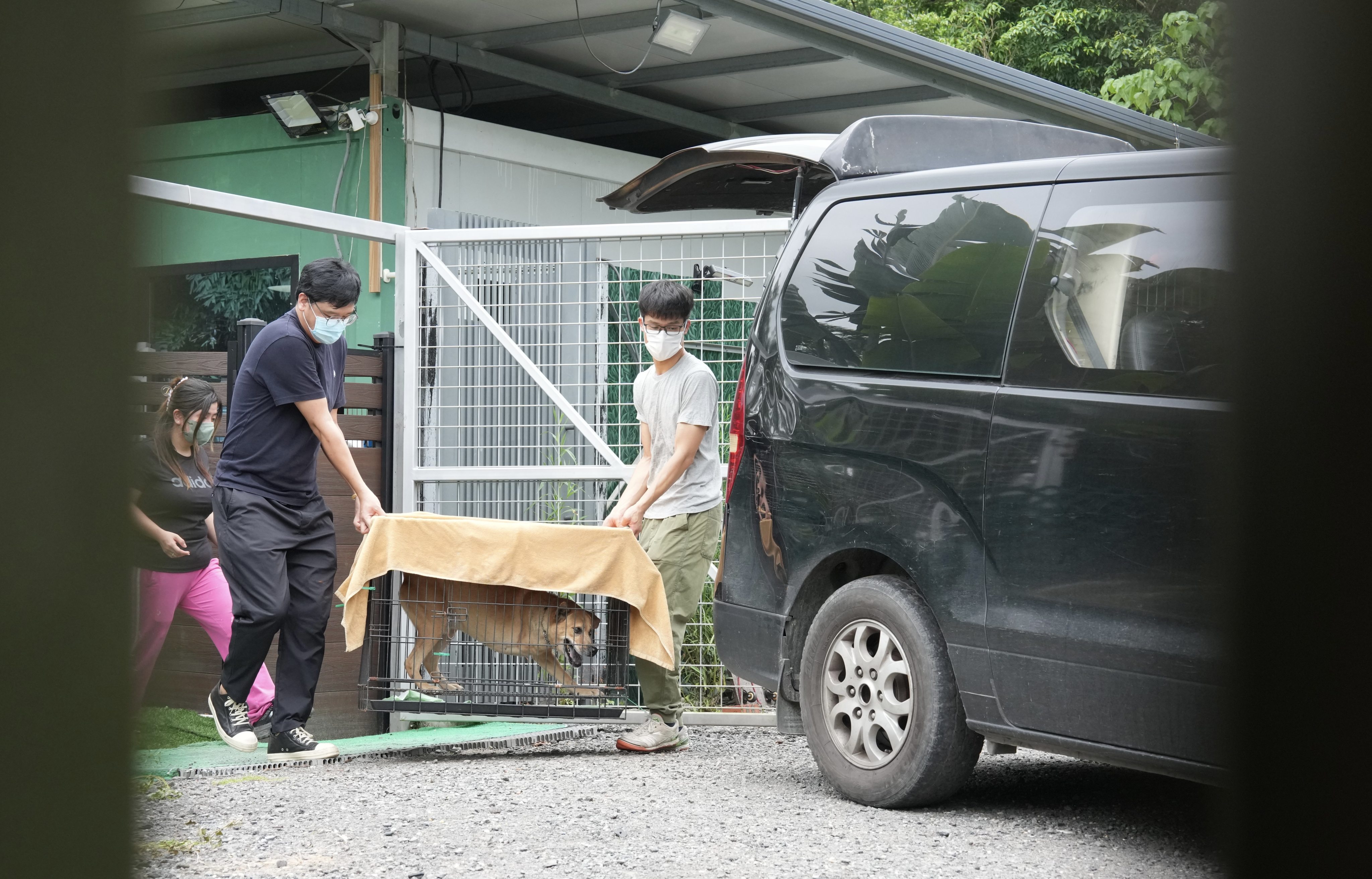 Staff at the Pawsgate training centre and pet hotel transporting a dog from the facility on Friday. Photo: Jelly Tse