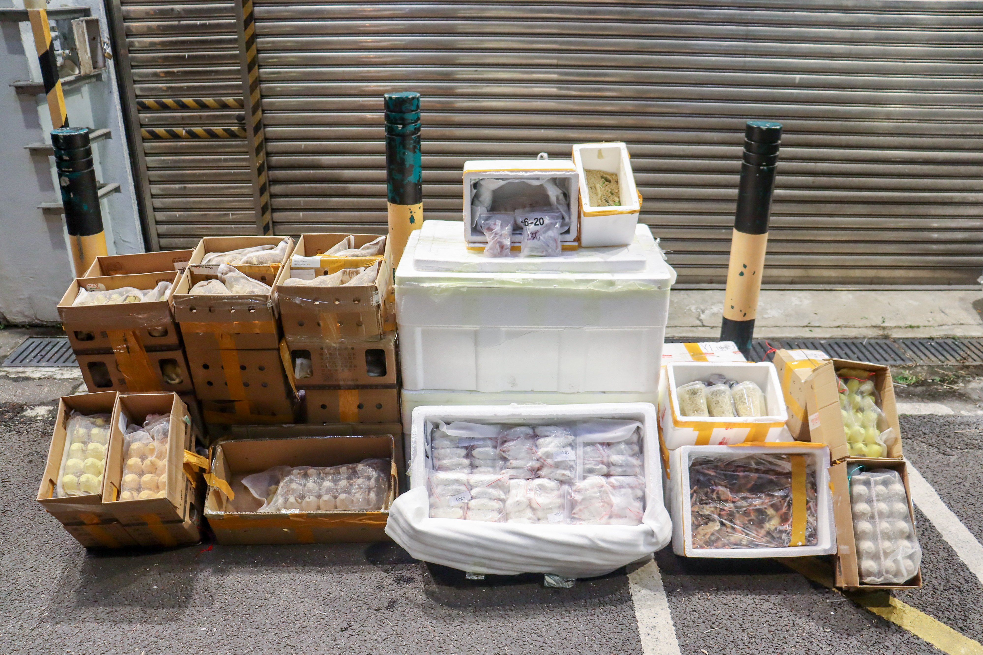 scmp.com - Ambrose Li - Cockroaches, frozen rats among 118kg of pests, pet food seized in Hong Kong