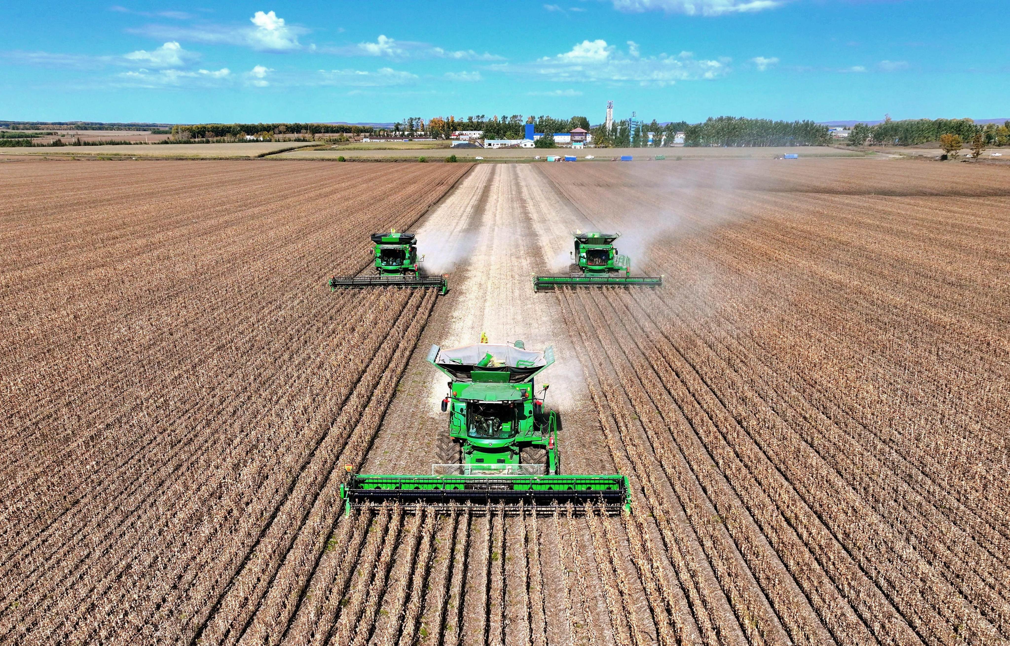 Harvesters in a soybean field in northeastern China’s Heilongjiang province in September. Photo: Xinhua
