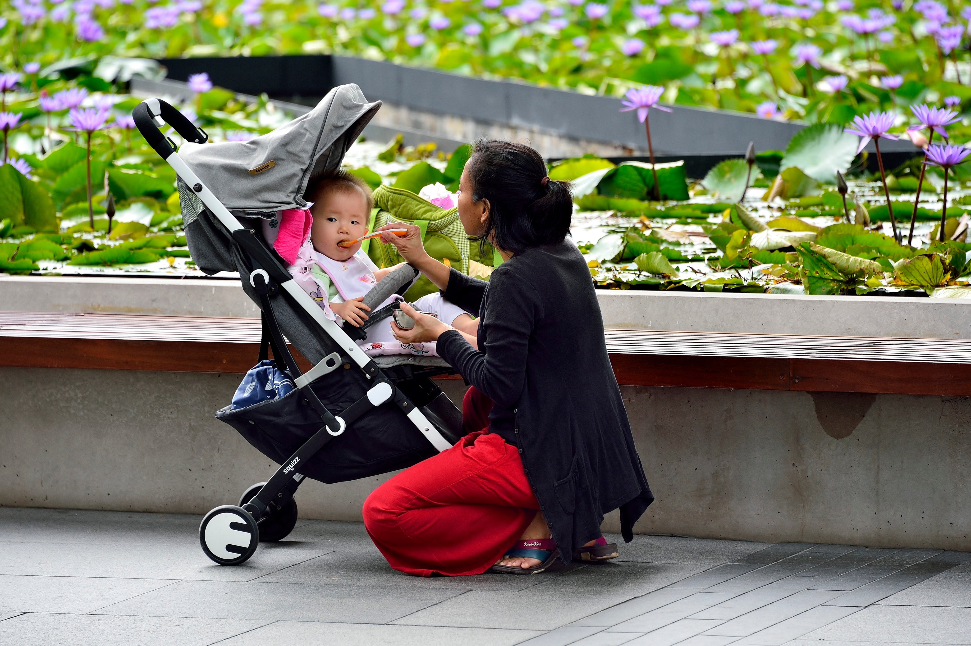 A mother in Singapore feeds her baby in a pram at a park. Photo: Shutterstock