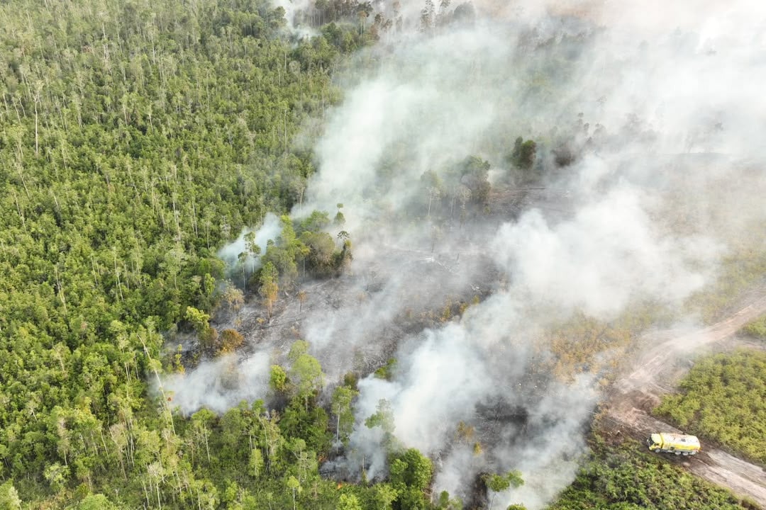 Smoke billows on Friday as a wildfire rages through a peatland forest in Bulungan, North Kalimantan, Indonesia. Photo: BNPB/AP