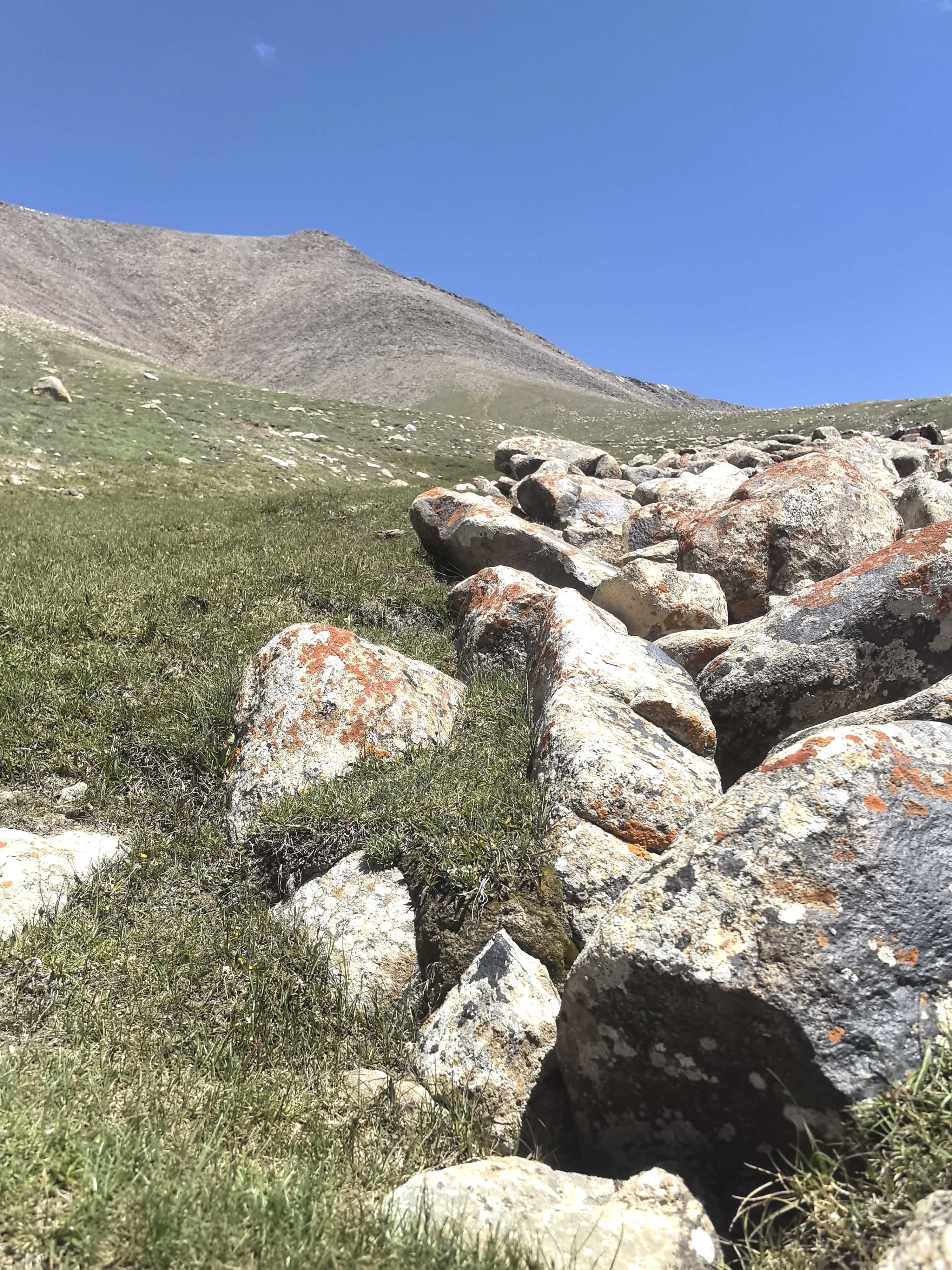 Lichen on rocks in the West Kunlun Mountains, southwest of China's Xinjiang Uygur autonomous region. Photo: Li Yang and team