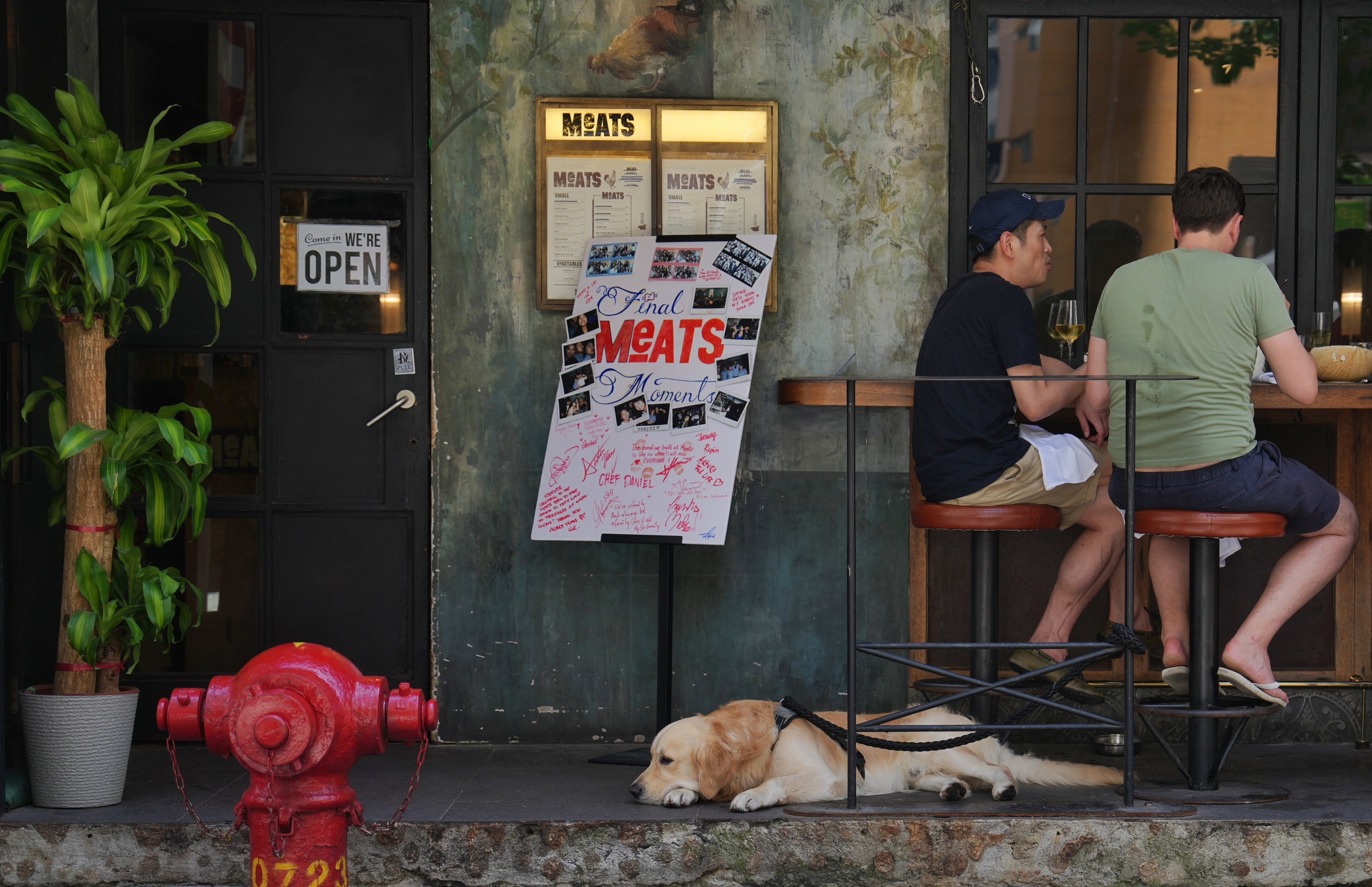 A golden retriever rests on the floor amid hot weather in July. Photo: Elson Li