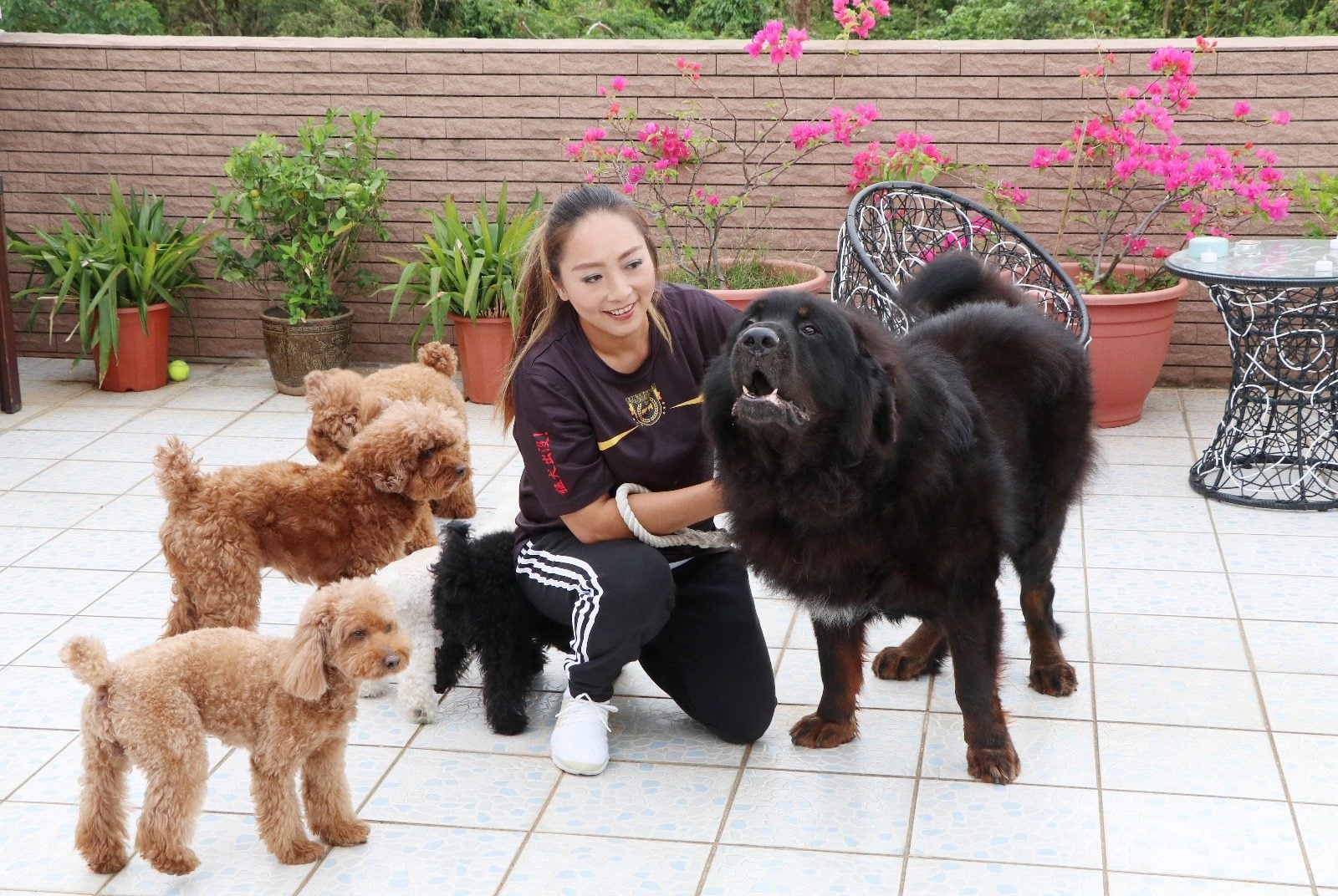 Bowie Leung says some people are attracted to large dogs because they are seen as powerful and loyal protectors. Photo: Handout