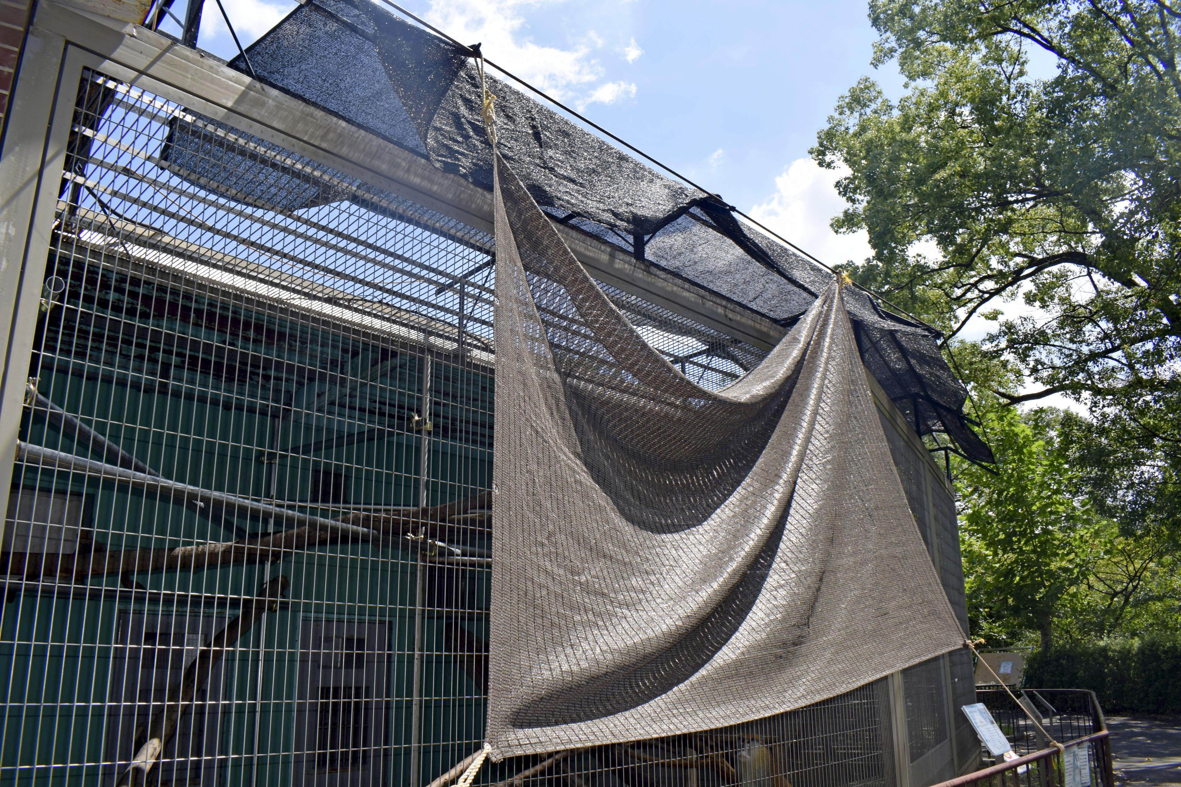 A tarp serves as a sun shield at an animal enclosure due to lack of air conditioning at the Japan Monkey Centre in Inuyama on Wednesday. Photo: Kyodo