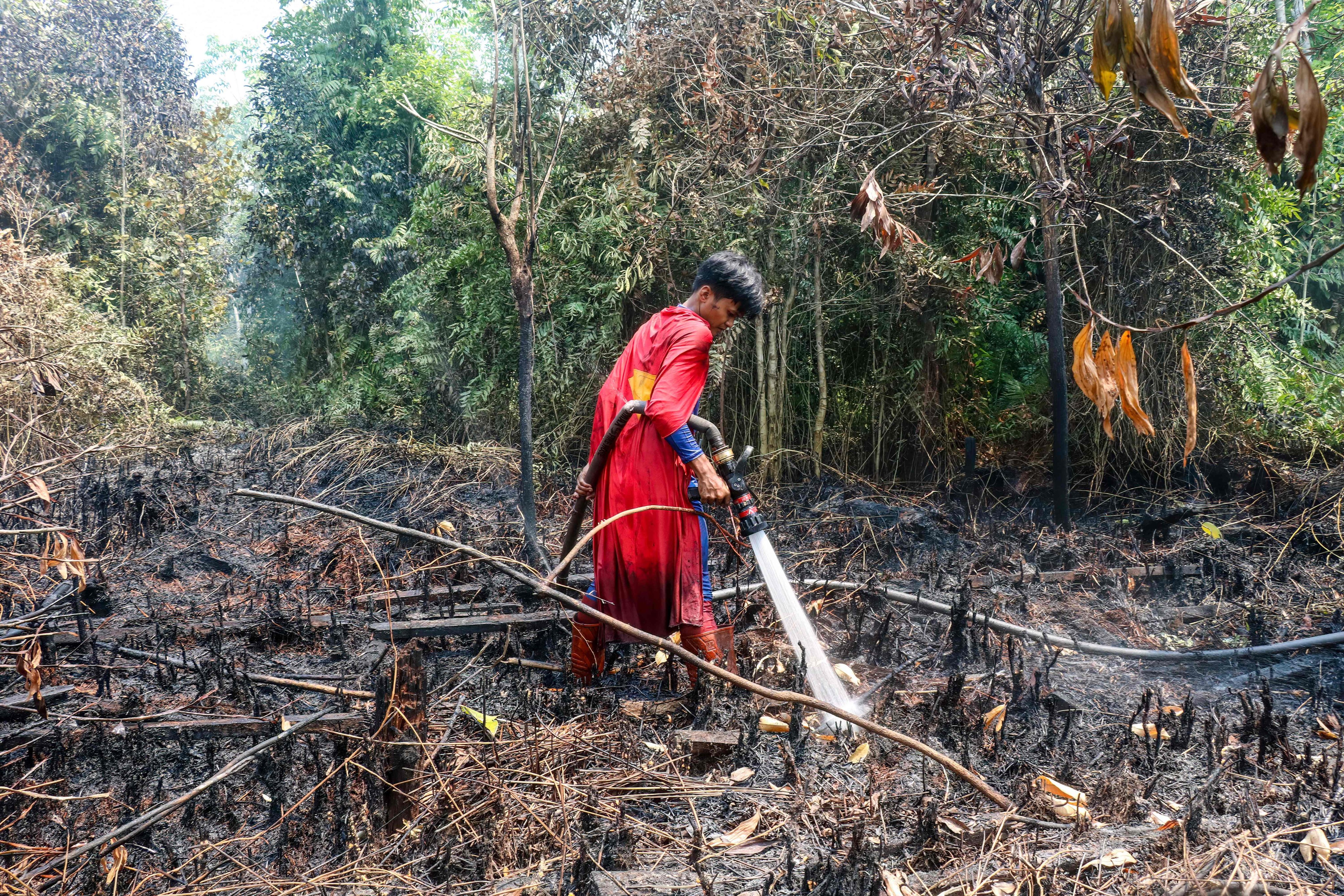 Indonesian student Rudiansyah dressed in a Superman costume helps to extinguish a forest and land fire at Petuk Katimpun in Central Kalimantan, Indonesia on August 17. Photo: AFP