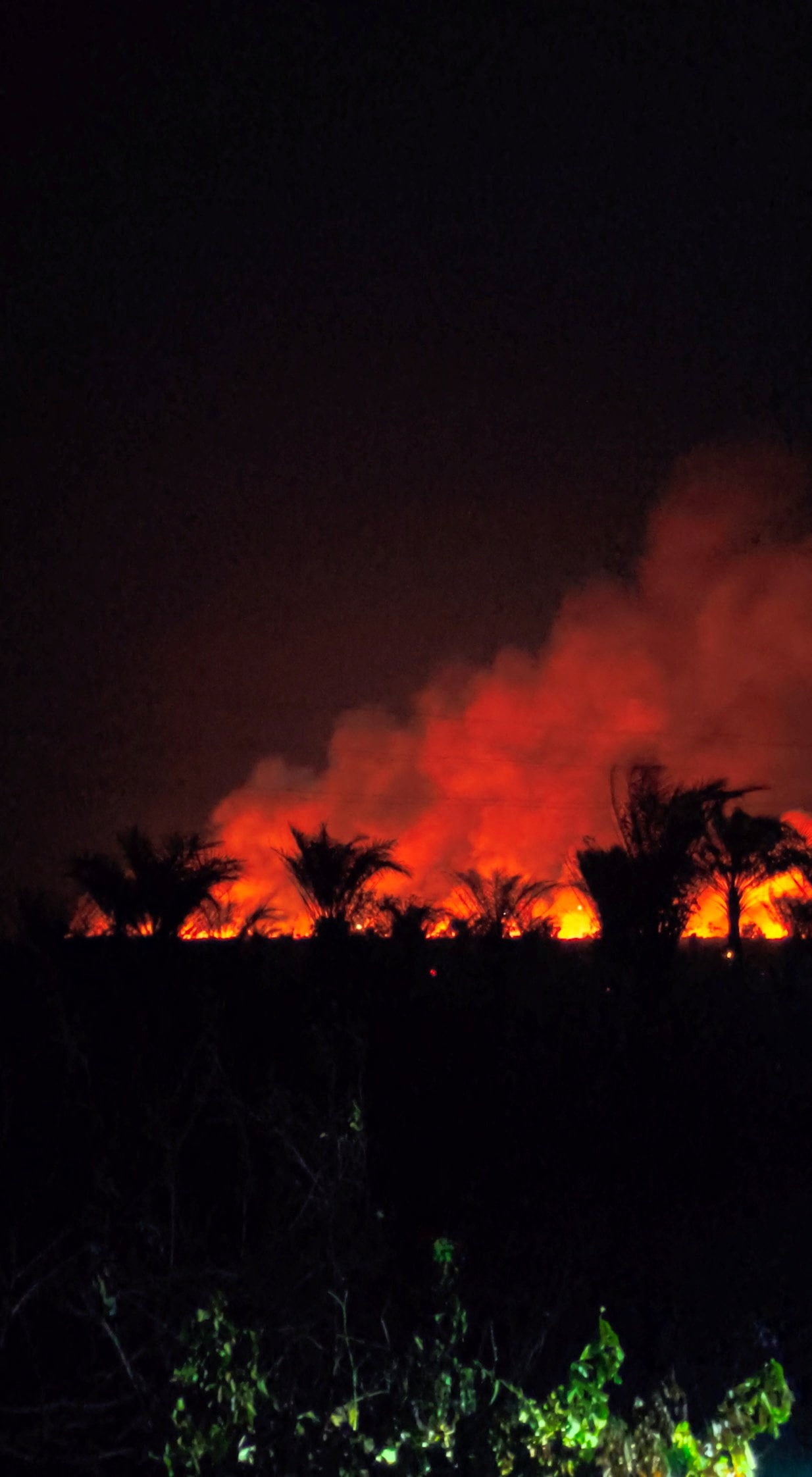 A wildfire burns in Central Kalimantan, Indonesia, on August 20. Photo: Krisna Agung Murti/Reuters